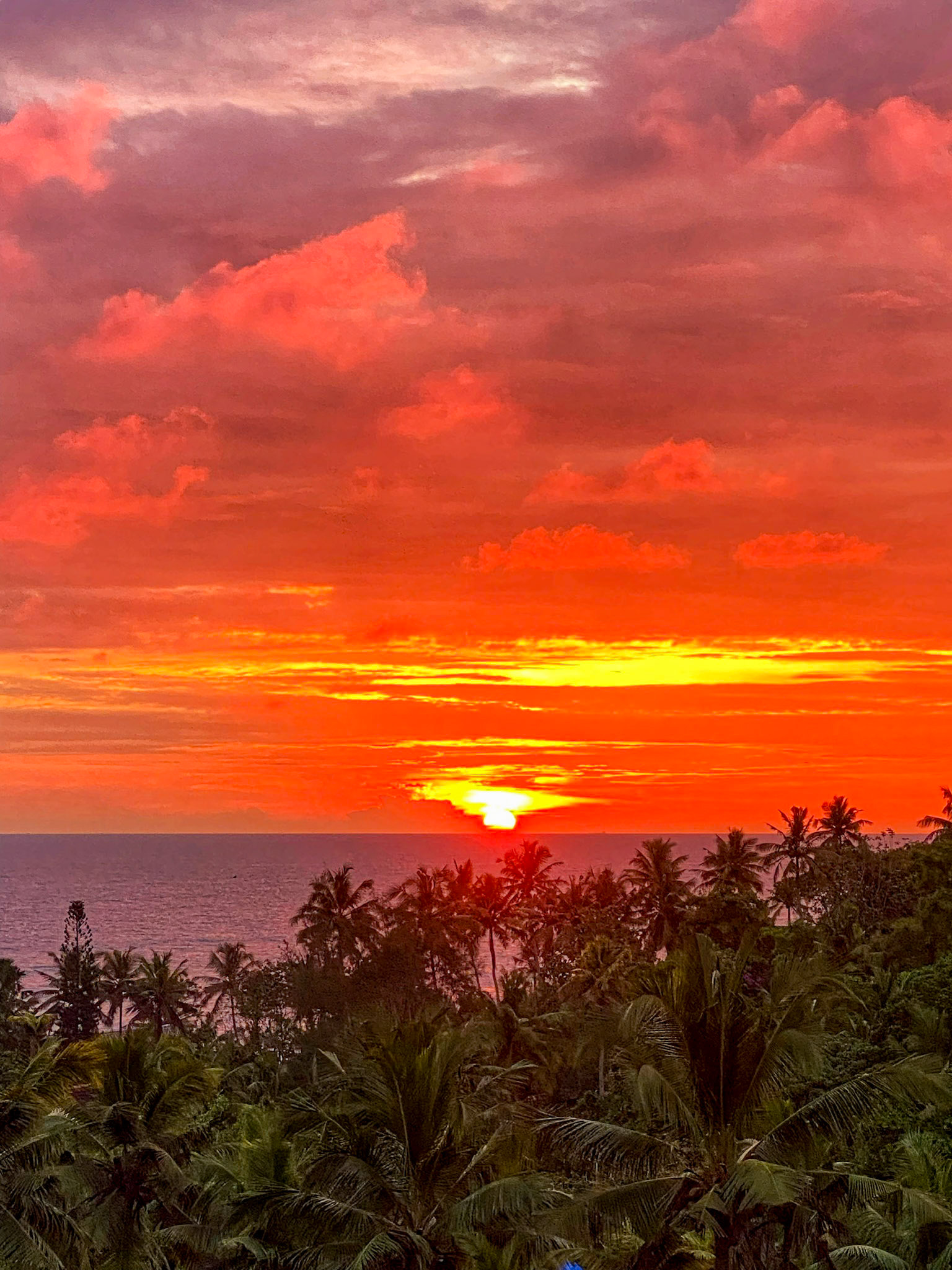 _2022-11-05__iPhone 11 Pro__ iPhone 11 Pro back triple camera 6mm f/2__f/2__1/120 sec_________