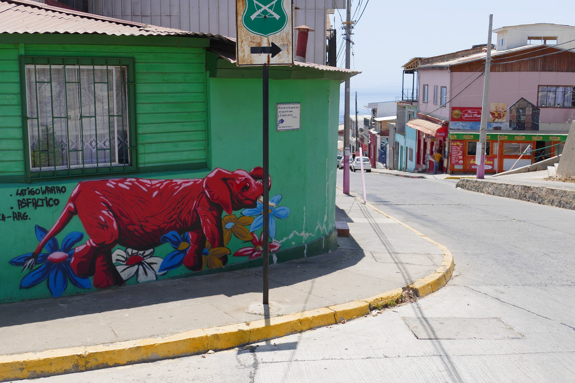 2020-01-23 13:54:08__f/3.2_1/1250 sec____