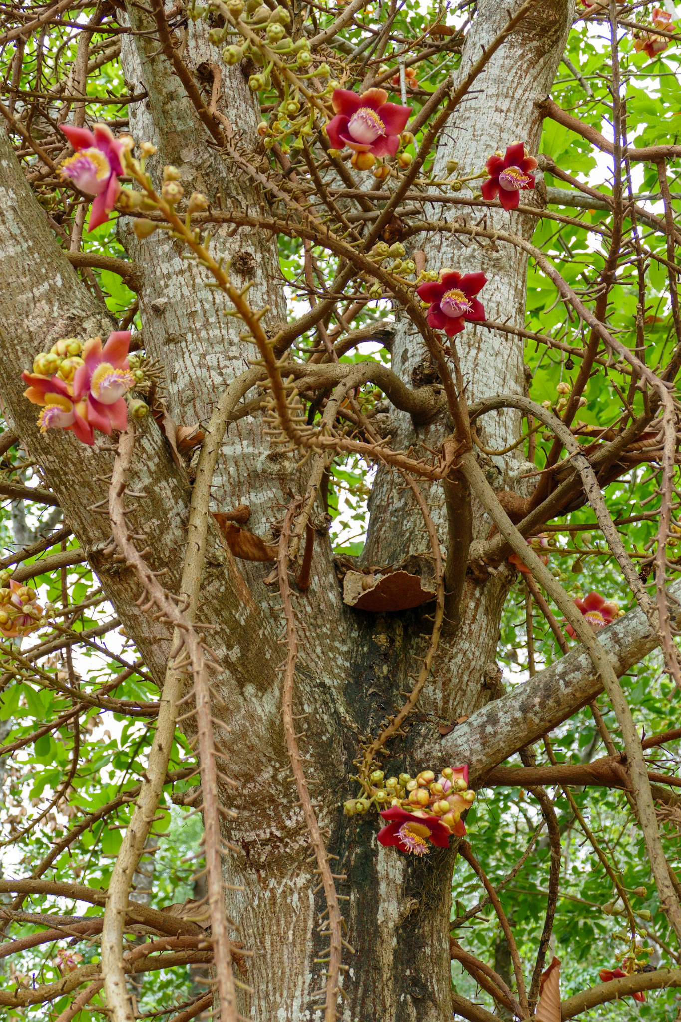 _2019-09-13__Panasonic__DMC-FZ1000__ __f/3.5__1/80 sec__Đường Văn Thánh__Hue__Vietnam__16°27'13.95" N 107°32'40.5096" E