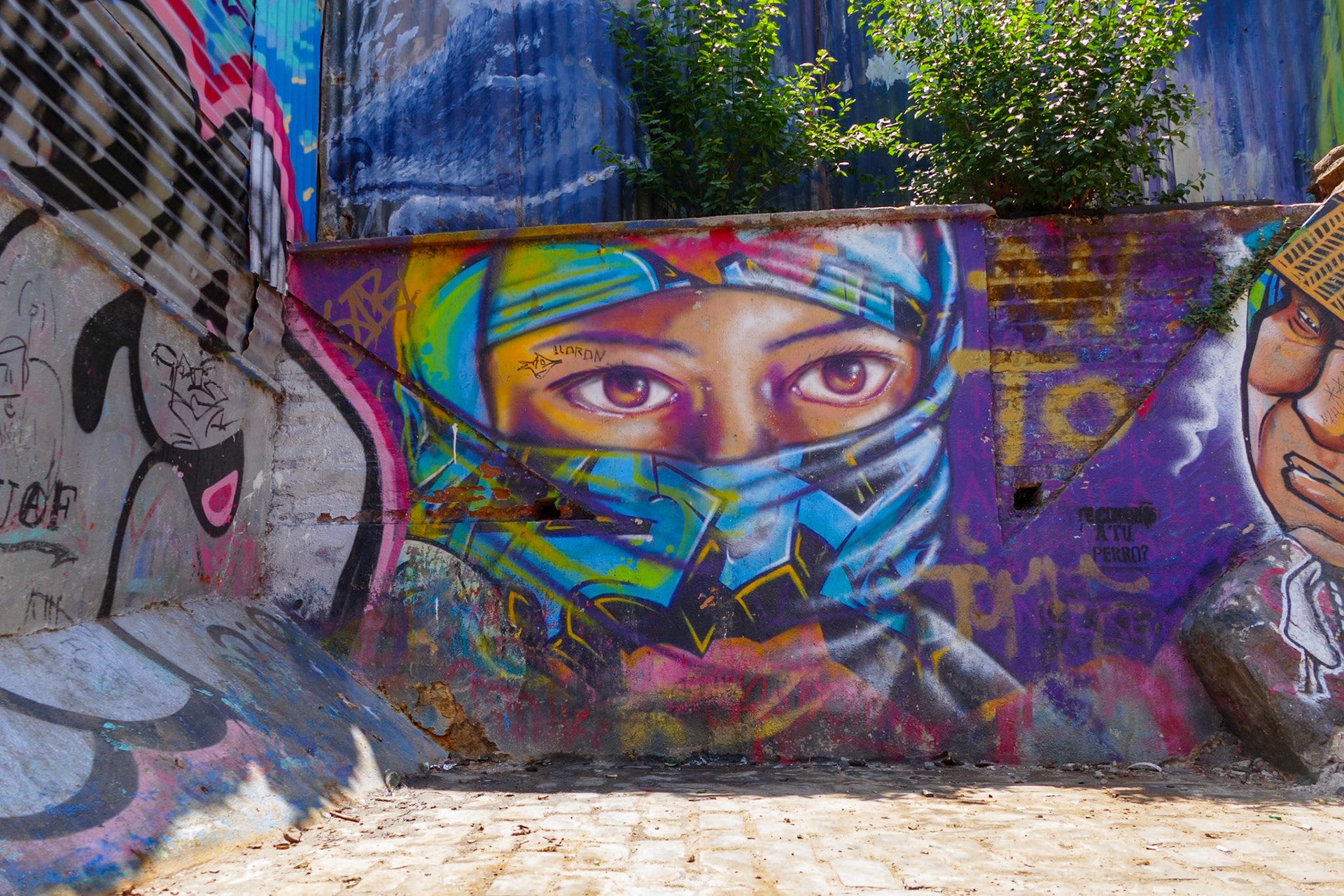 _2020-01-23__Panasonic__DMC-FZ1000__ __f/3__1/320 sec__Dimalow__Valparaíso__Chile__33°2'44.7" S 71°37'25.662" W