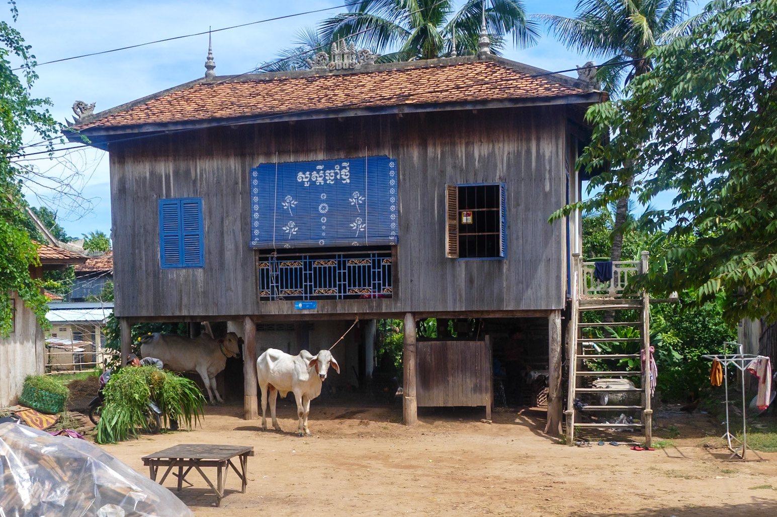 2019-09-26 10:23:31__f/3_1/1600 sec_