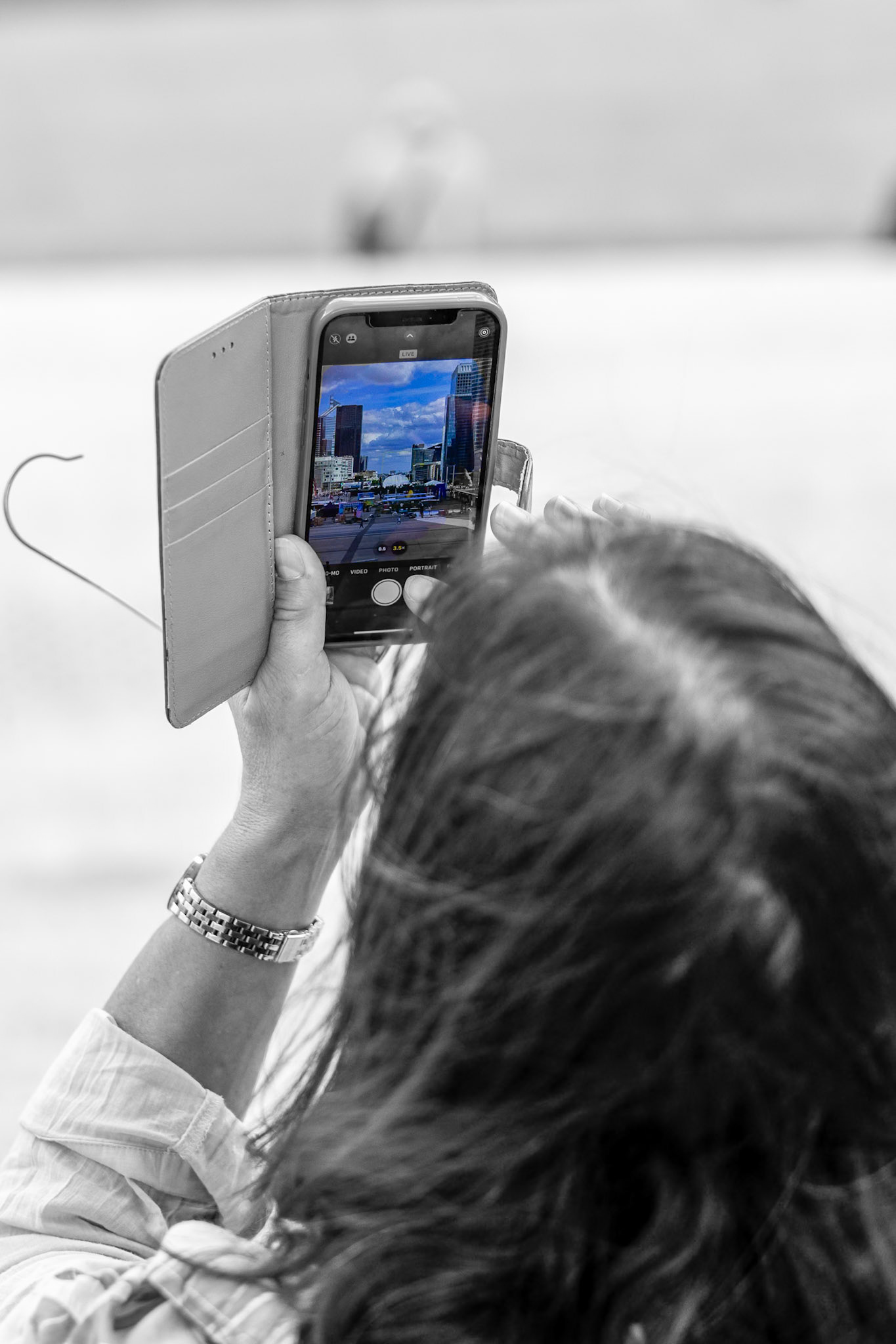 _2025-06-23__Canon EOS R3__ RF28-70mm F2.8 IS STM__f/2.8__1/500 sec__Le Parvis__Arrondissement of Nanterre__France__48°53'32.46" N 2°14'11.4648" E_