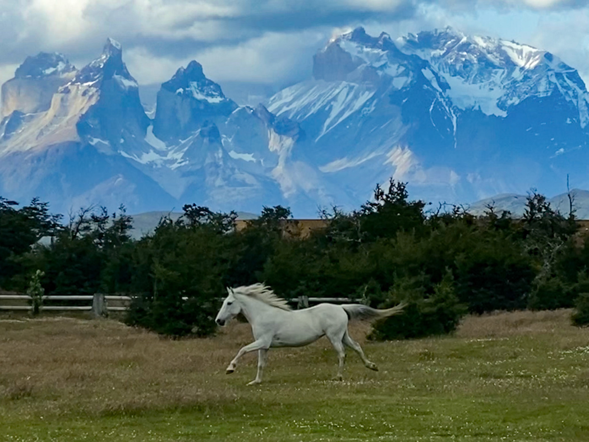 _2023-11-05__iPhone 11 Pro__ iPhone 11 Pro back triple camera 6mm f/2__f/2__1/1000 sec_________