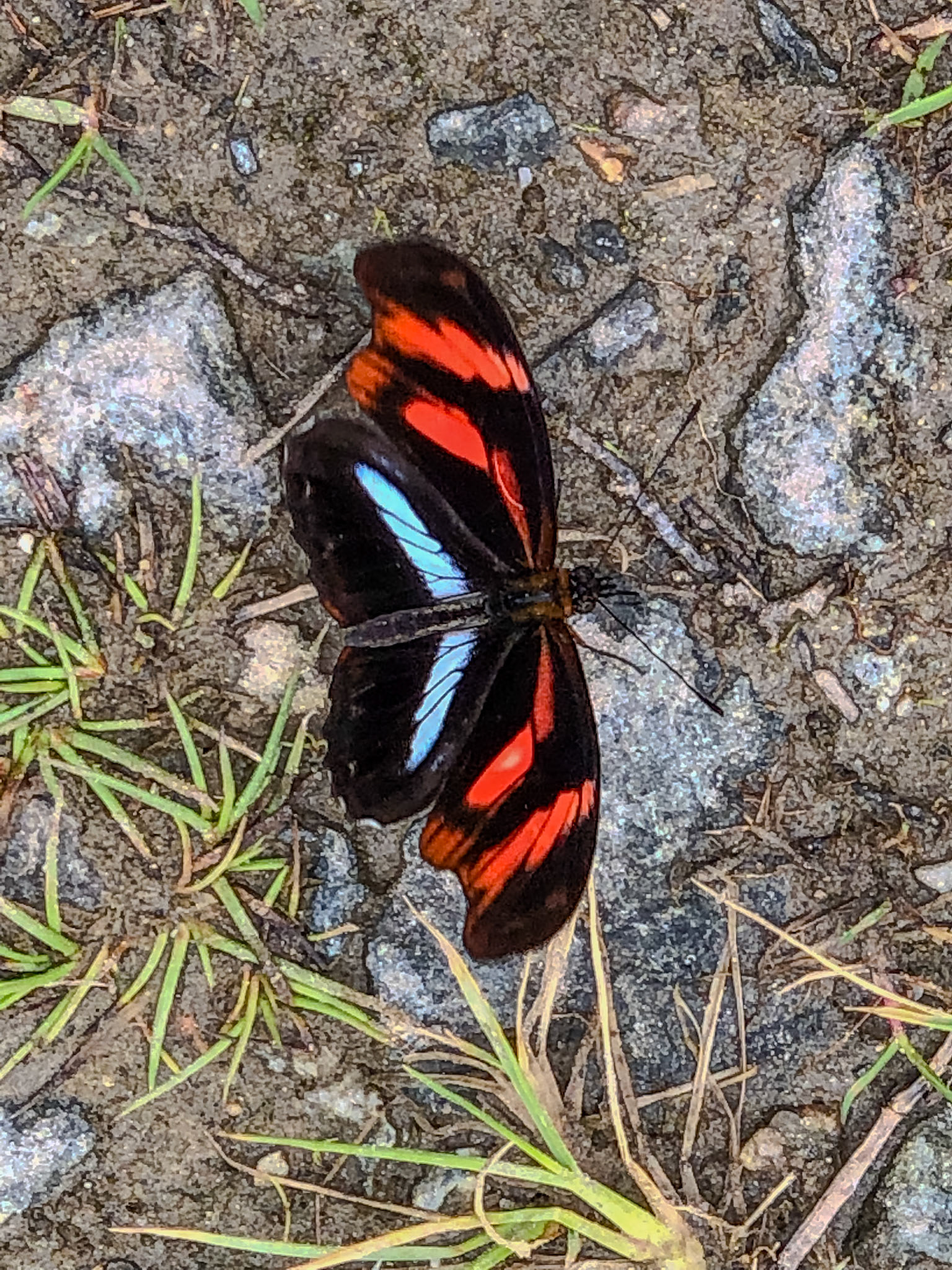 2018-11-16 13:04:06_iPhone X back dual camera 6mm f/2.4_f/2.4_1/160 sec_CU-107_Santa Teresa_Peru_13°10'40.4904" S 72°34'2.1108" W