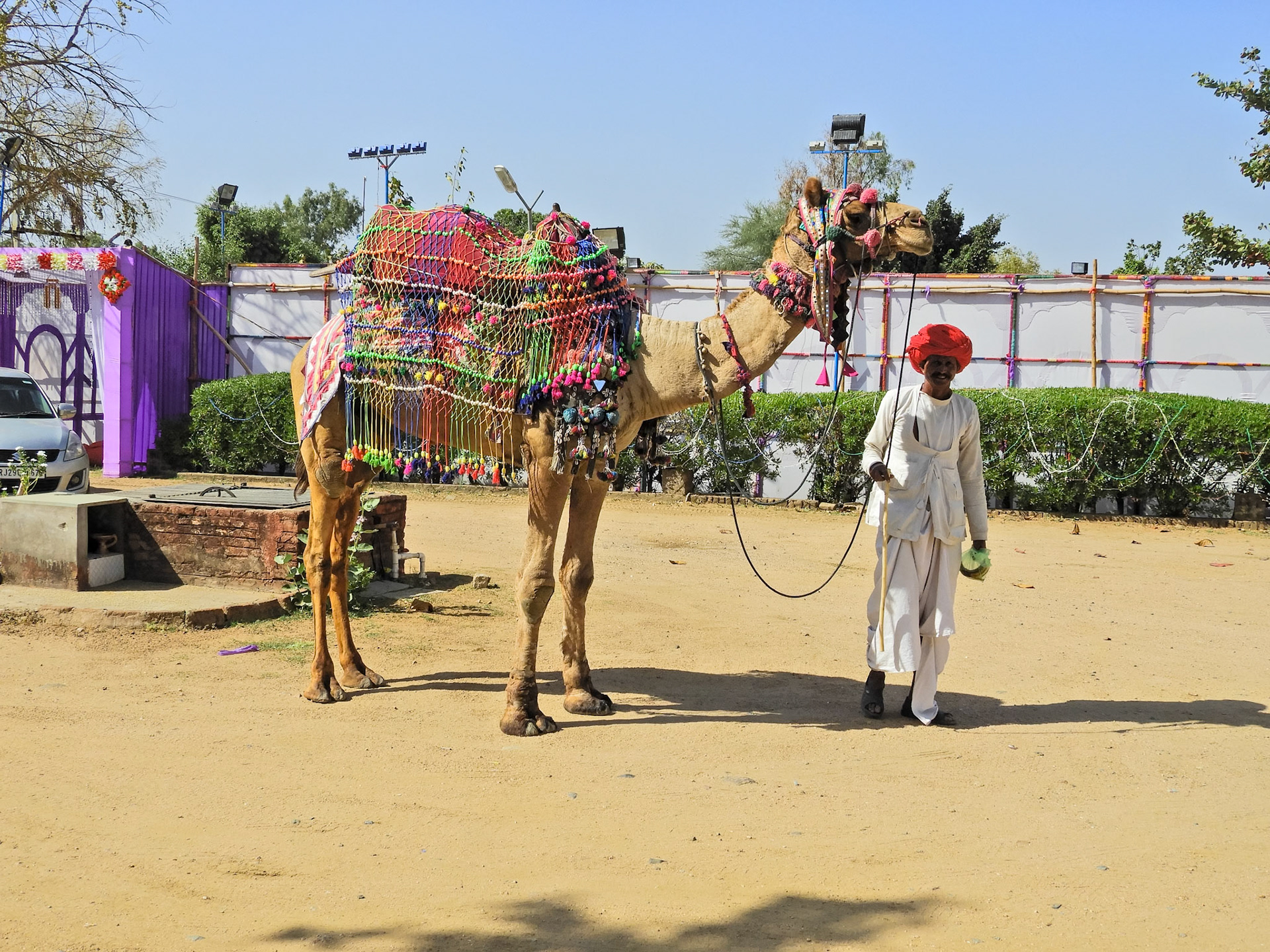 _2018-02-22__Nikon__Coolpix B700__ __f/3.8__1/1600 sec__SH62__Sadri__India__25°8'57.318" N 73°27'54.2052" E