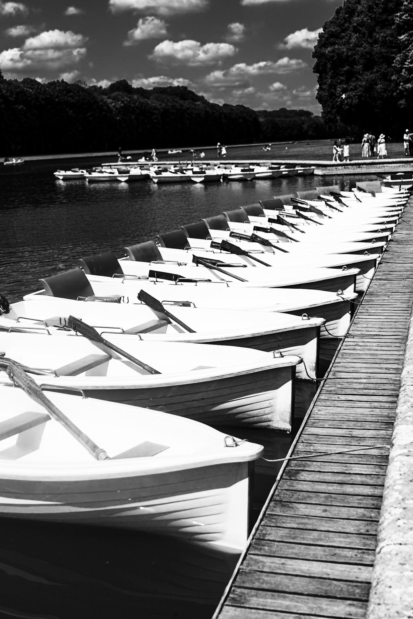 2025-06-17 11:03:34_RF28-70mm F2.8 IS STM_f/2.8_1/4000 sec_Allée d'Apollon_Versailles_France_48°48'30.5028" N 2°6'31.536" E