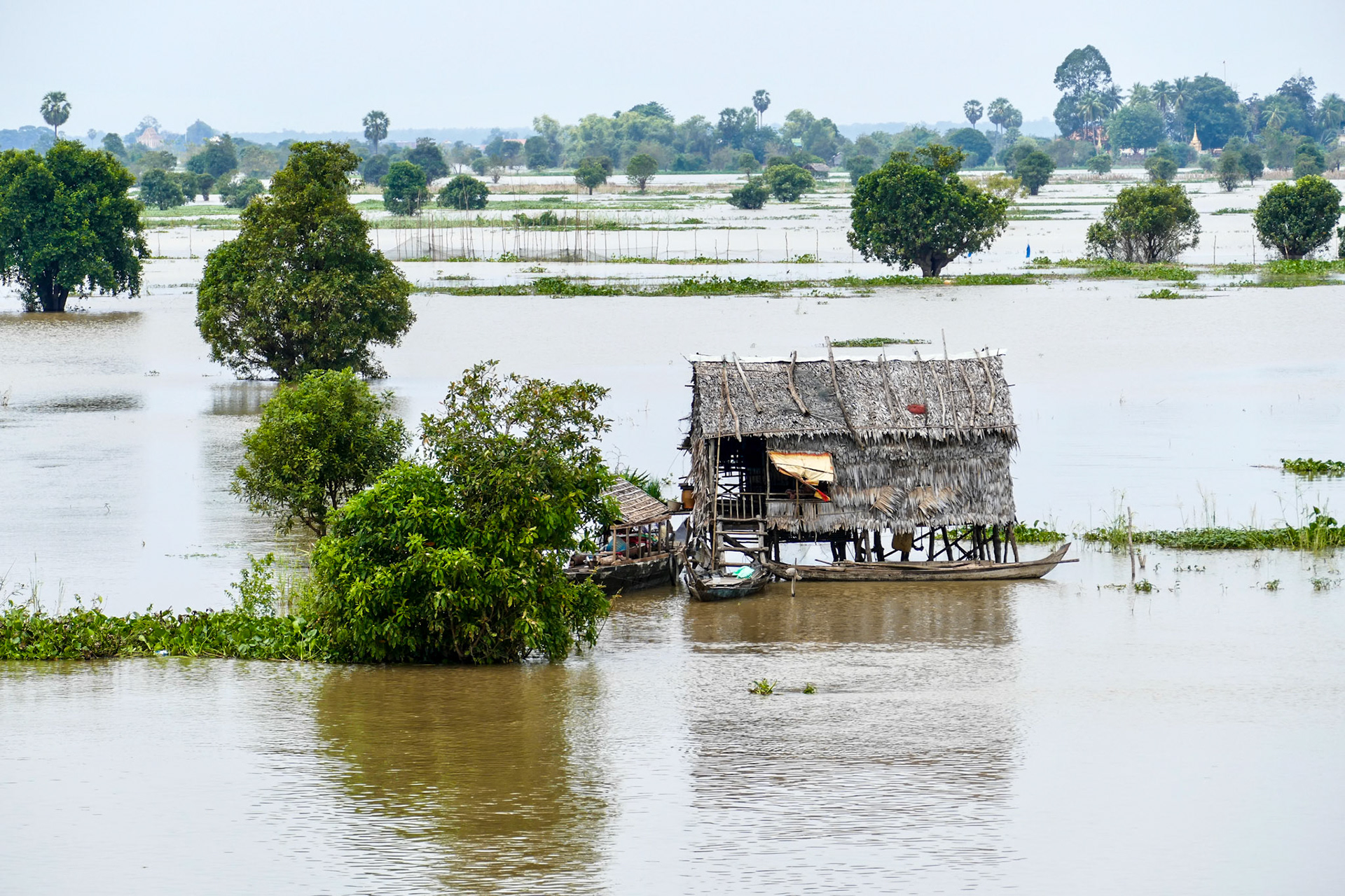 2019-09-27 11:16:01__f/4_1/1000 sec_