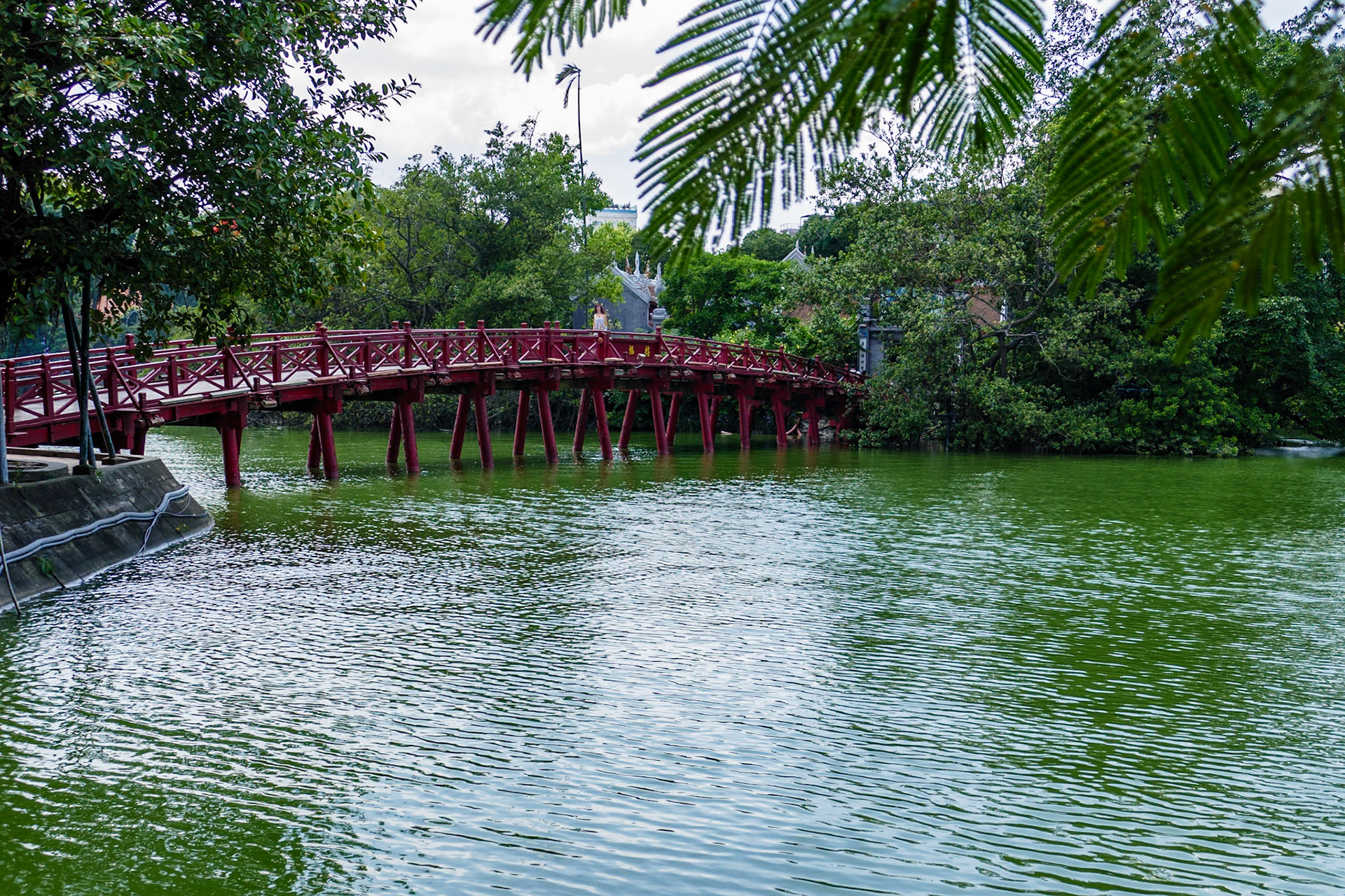 _2019-09-03__Panasonic__DMC-FZ1000__ __f/3.2__1/640 sec__Suvarnabhumi 3 Road__Bang Chalong Subdistrict__Thailand__13°37'45.1668" N 100°44'36.9852" E