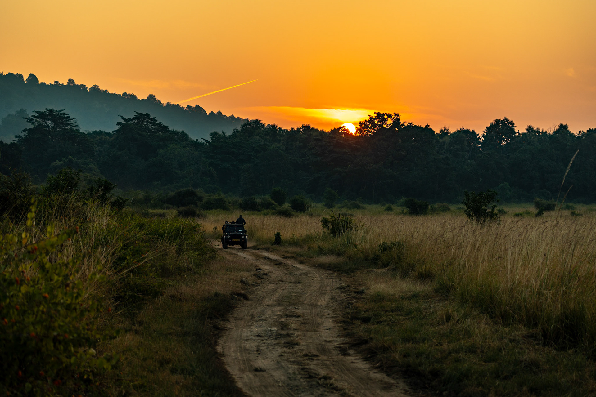 __2025-12-01__Canon__Canon EOS R3__ RF100-500mm F4.5-7.1 L IS USM__f/4.5__1/400 sec____Ramnagar__India__29°26'23.8092" N 78°57'42.7032" E