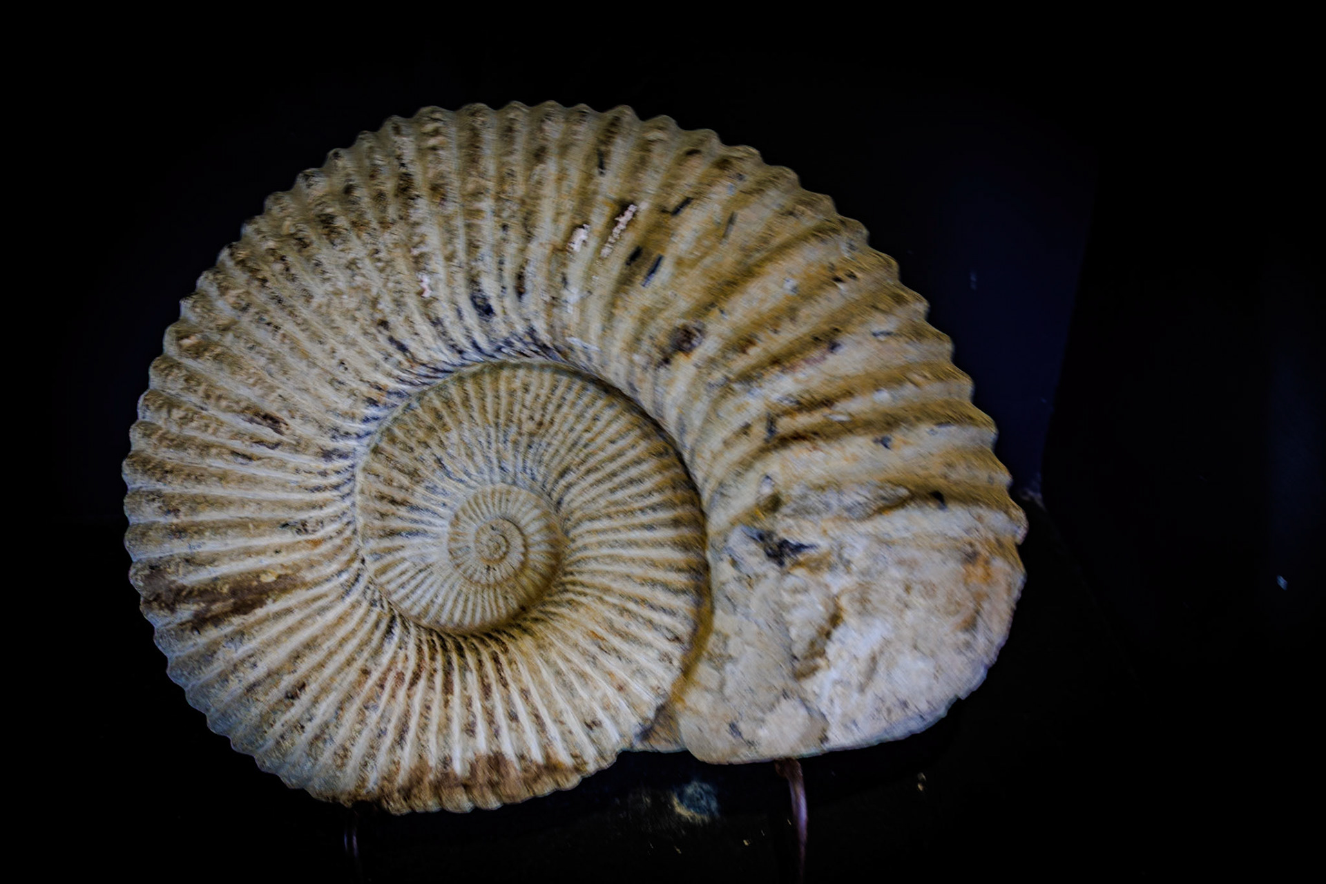 2024-12-01 14:57:51RF24-240mm F4-6.3 IS USMf/50.4 sec