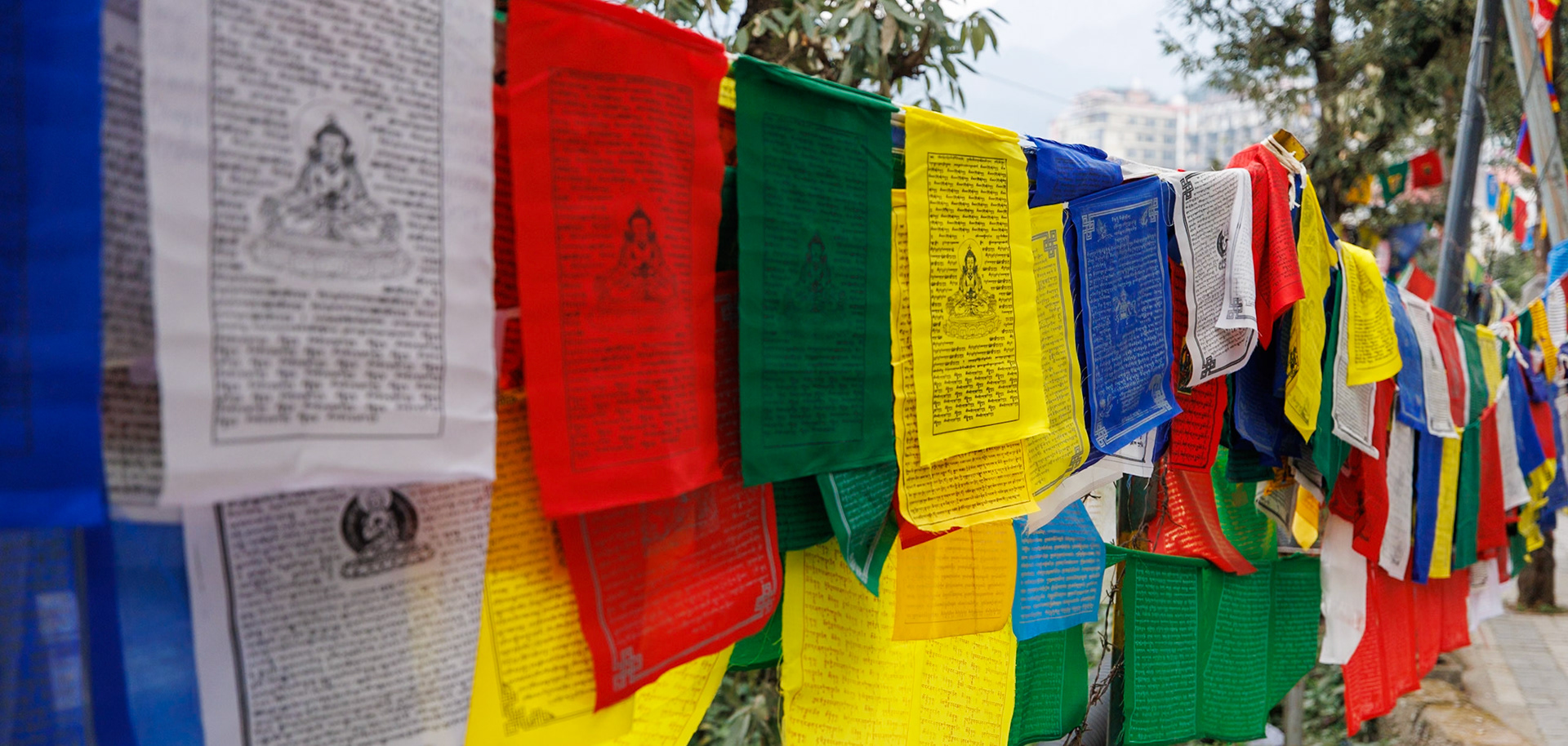 __2025-12-13__Canon__Canon EOS R3__ RF15-35mm F2.8 L IS USM__f/3.2__1/1000 sec__Potala Road__Dharamshala__India__32°13'58.5588" N 76°19'27.2028" E