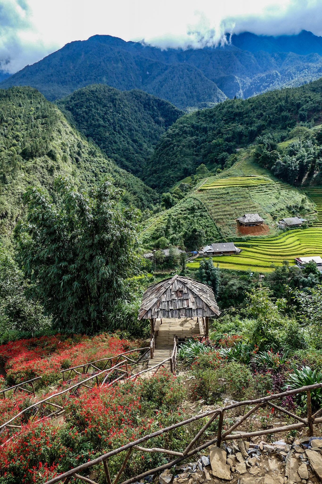 2019-09-08 14:51:18__f/2.8_1/500 sec_