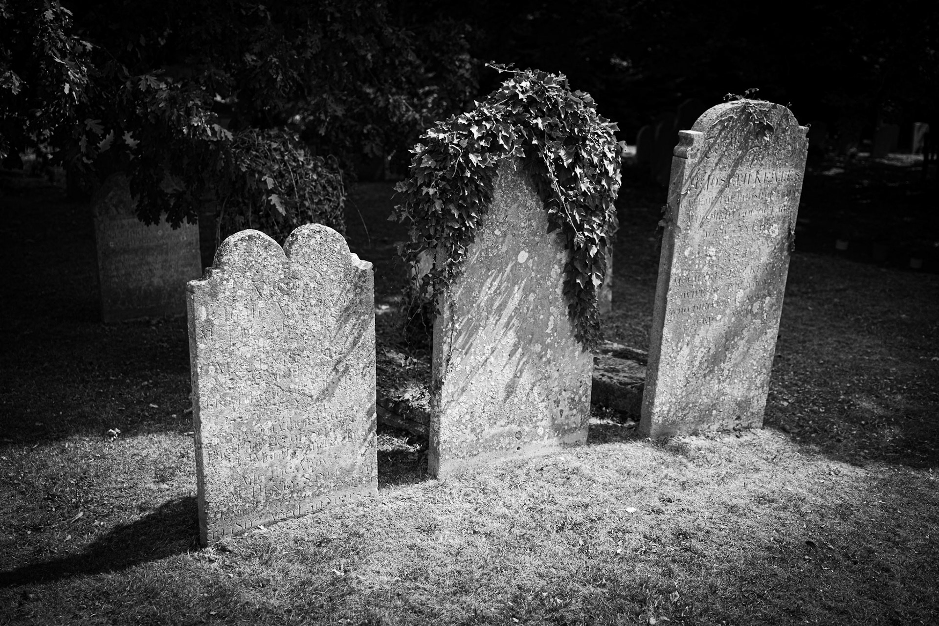 _2025-08-22__Canon__Canon EOS R3__ RF28-70mm F2.8 IS STM__f/2.8__1/6400 sec__St. Andrew's Close__Sunnymeads__England__51°27'20.6136" N 0°33'35.5932" W