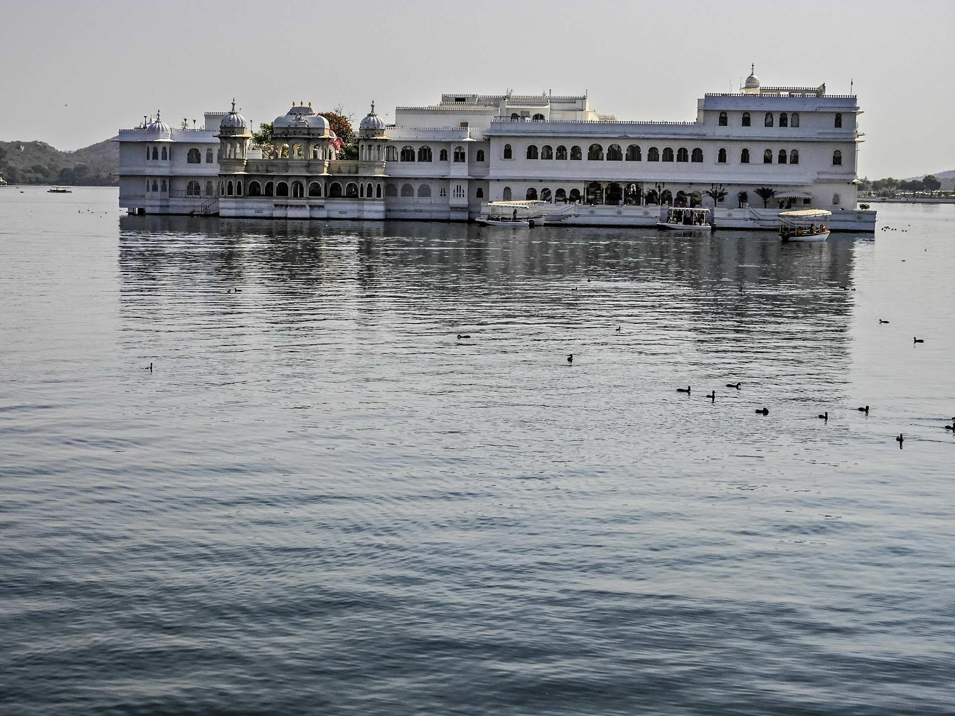 2018-02-20 14:38:18__f/4.2_1/1600 sec_Jagdish Temple Road_Udaipur_India_24°34'34.1472" N 73°40'56.1612" E