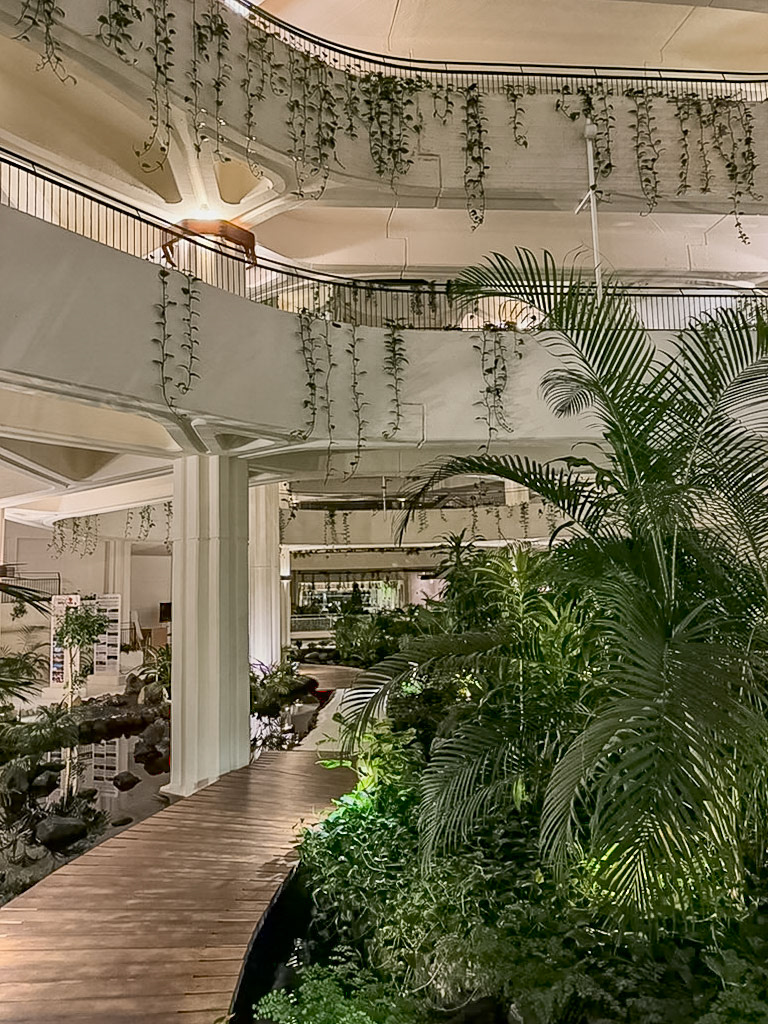 _2024-12-01__Apple__iPhone 15 Pro__ iPhone 15 Pro back triple camera 6.765mm f/1.78__f/1.8__1/35 sec__Avenida Islas Canarias__Teguise__Spain__28°59'59.73" N 13°29'2.4288" W