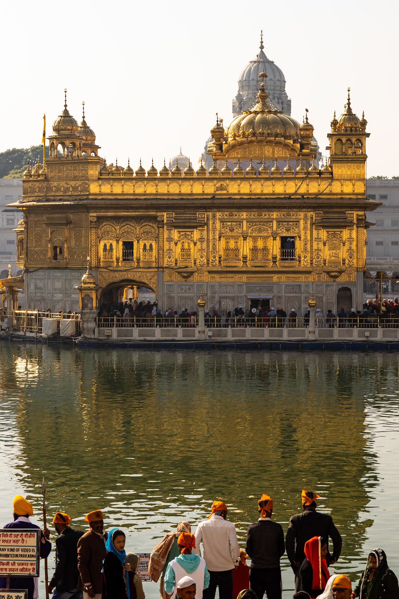 __2025-12-09__Canon__Canon EOS R3__ RF24-70mm F2.8 L IS USM__f/7.1__1/1600 sec__Golden Temple Road__Amritsar__India__31°37'14.7432" N 74°52'38.2692" E