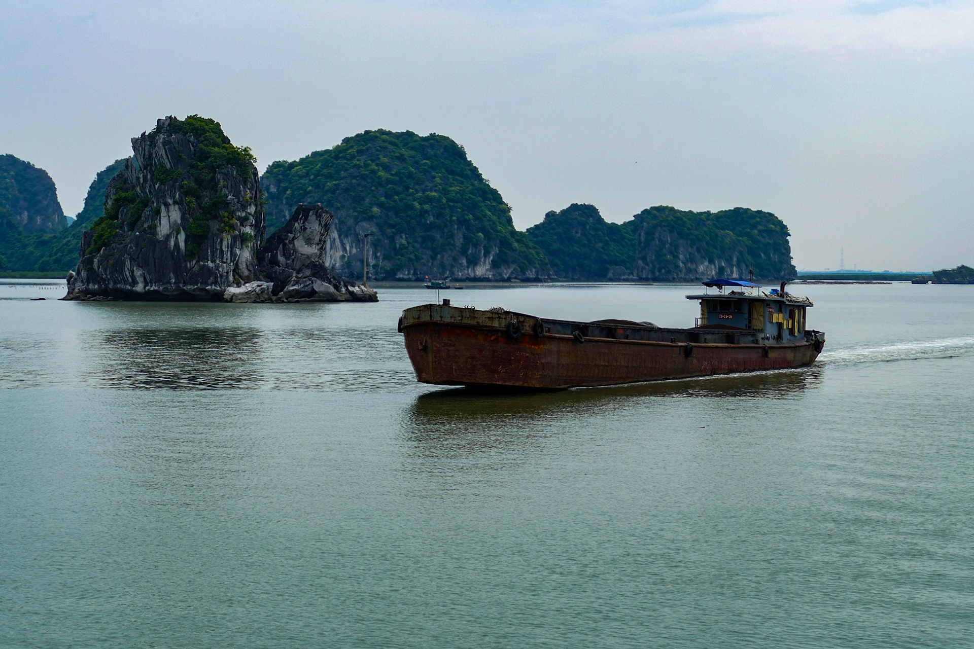 _2019-09-05__Panasonic__DMC-FZ1000__ __f/3.7__1/800 sec________