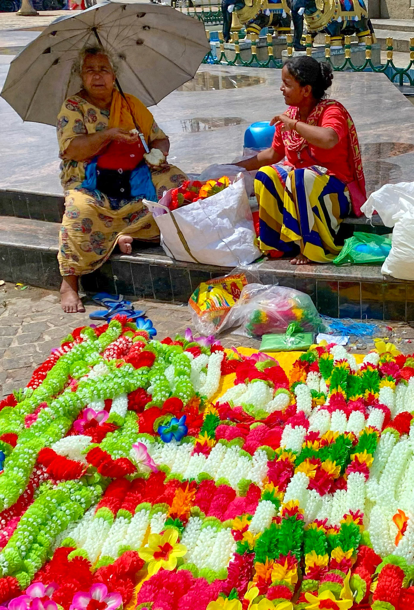 _2022-10-20__iPhone 11 Pro__ iPhone 11 Pro back triple camera 4.25mm f/1.8__f/1.8__1/6800 sec_________