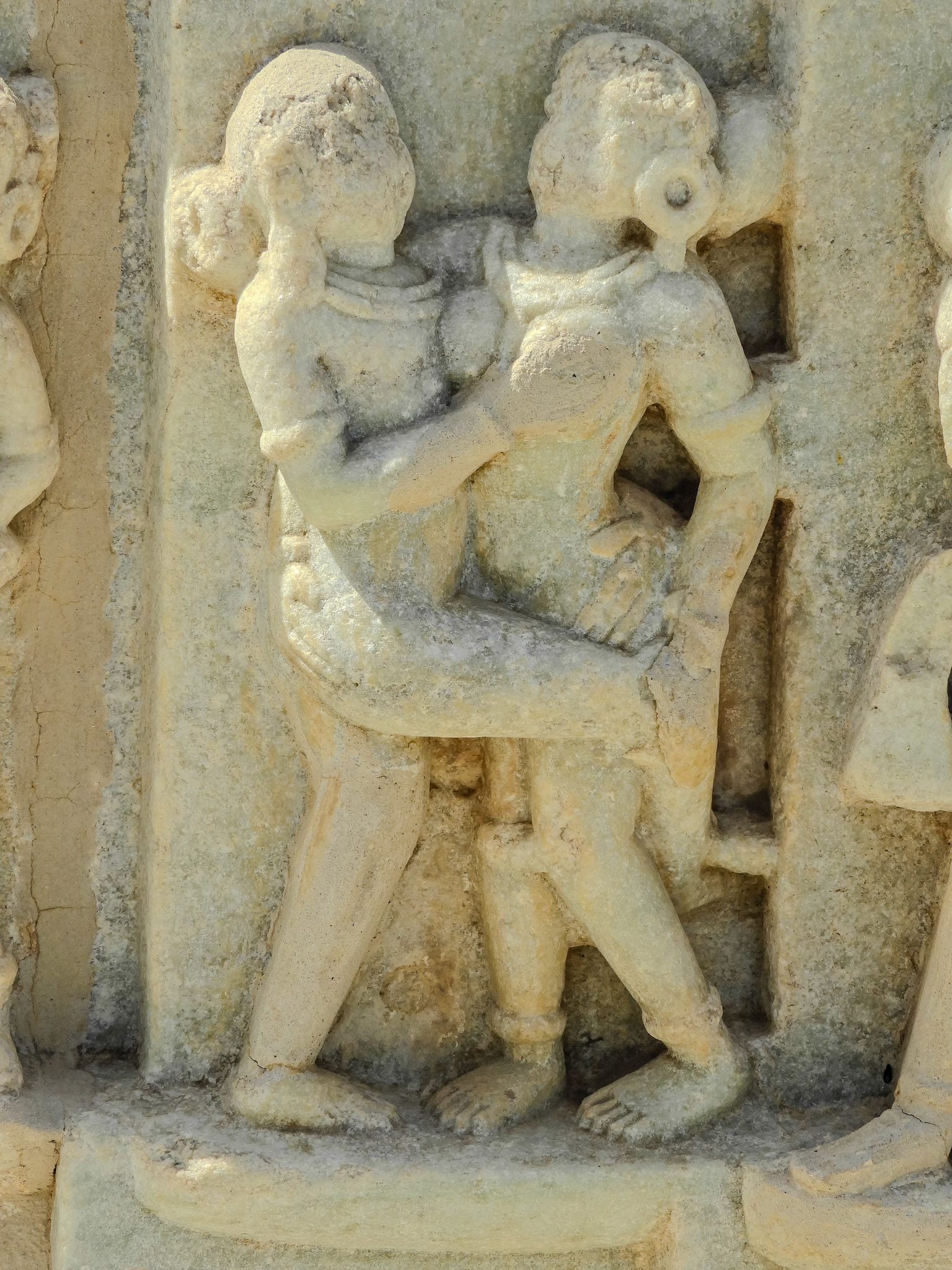 2018-02-22 13:34:57__f/5_1/500 sec__Desuri Tehsil_India_25°6'56.9952" N 73°28'19.6428" E