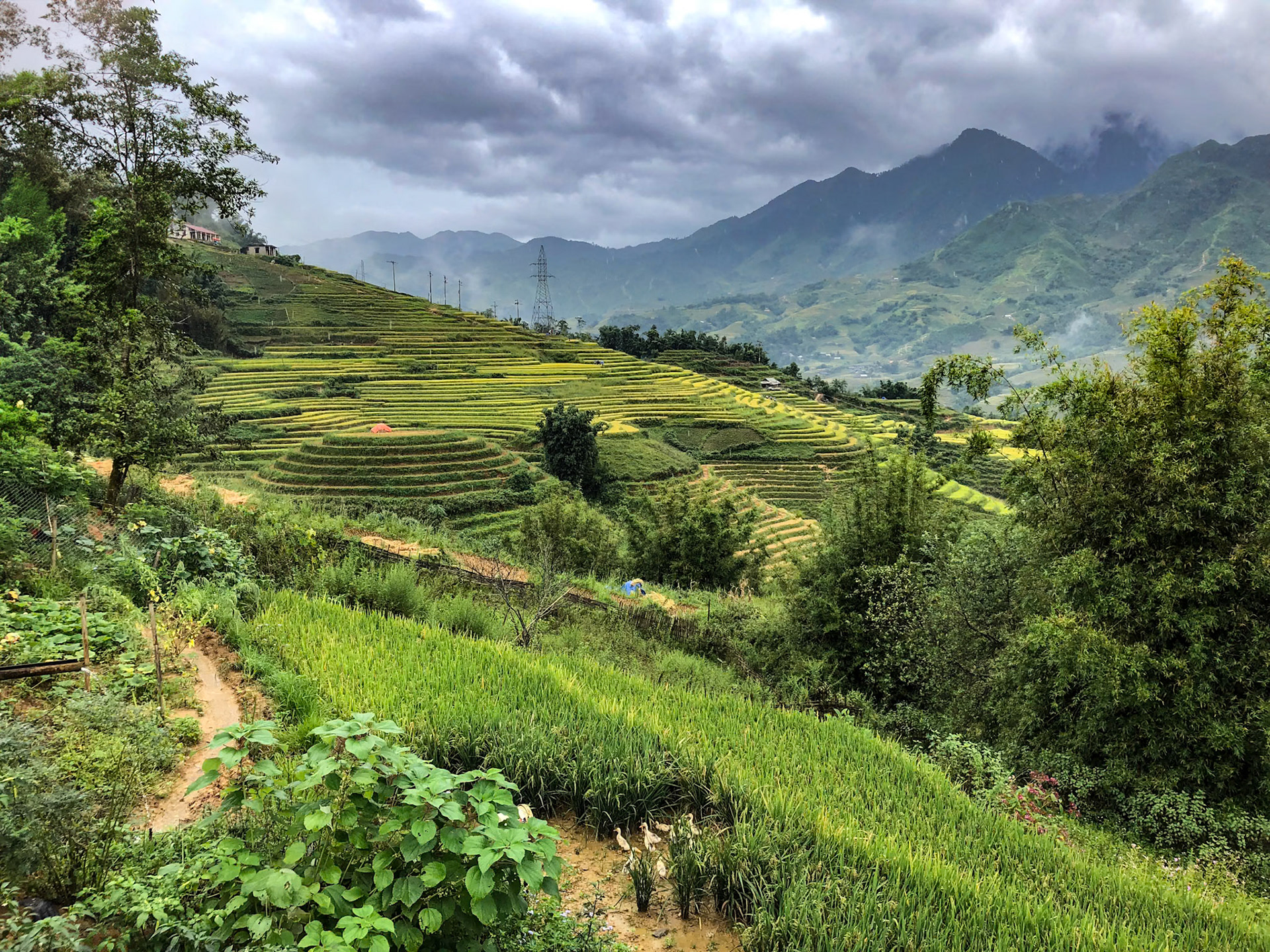 _2019-09-09__iPhone X__ iPhone X back dual camera 4mm f/1.8__f/1.8__1/750 sec_________