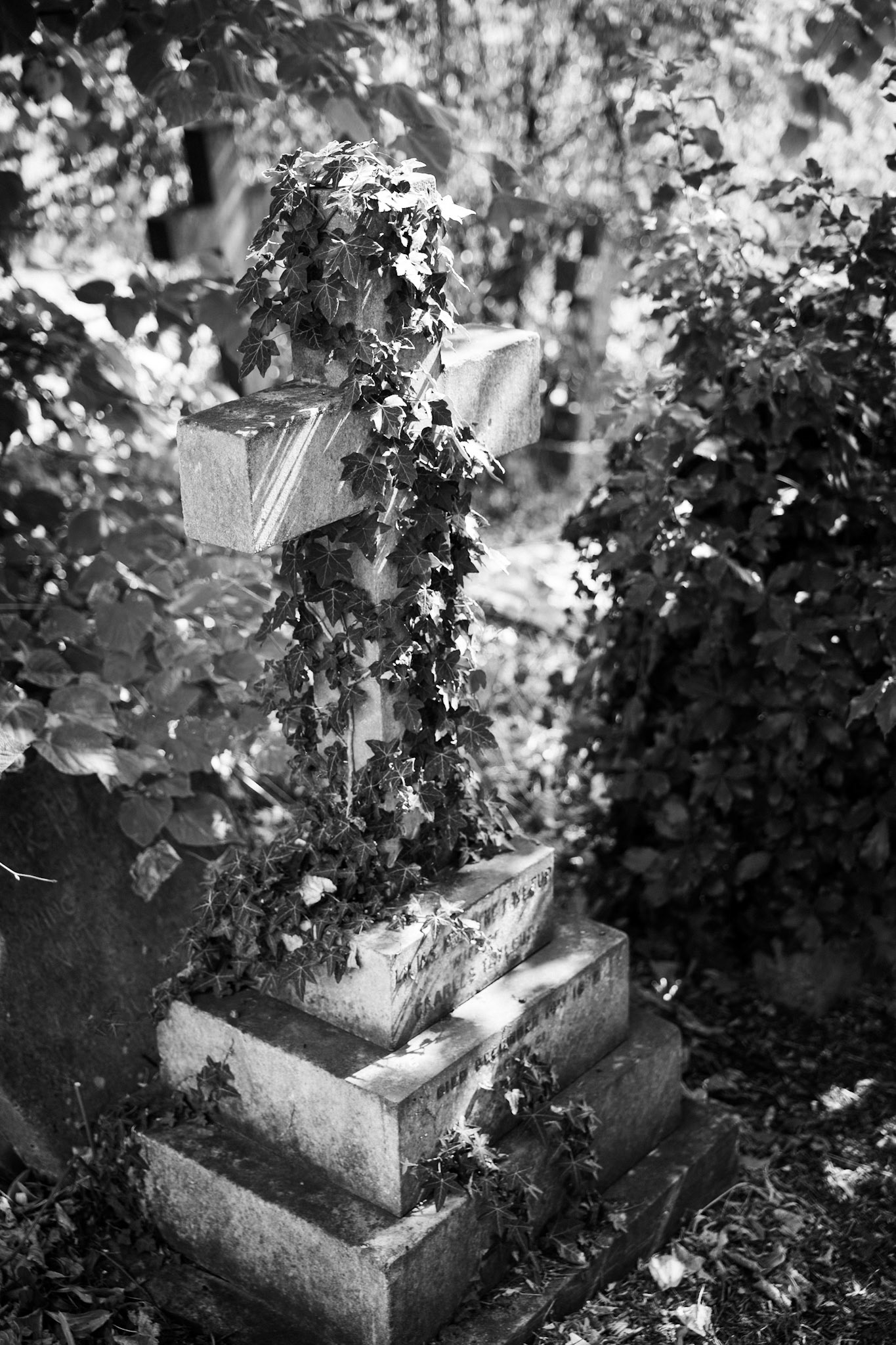 _2025-08-22__Canon__Canon EOS R3__ RF28-70mm F2.8 IS STM__f/2.8__1/800 sec__St. Andrew's Close__Sunnymeads__England__51°27'20.6136" N 0°33'35.5932" W