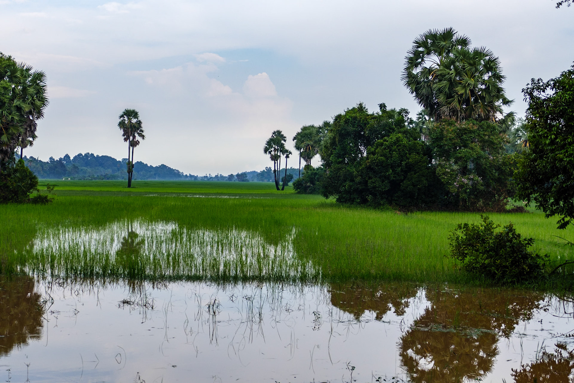 _2019-09-29__Panasonic__DMC-FZ1000__ __f/3.5__1/400 sec__Grand Circuit__Ankor Wat__Cambodia__13°26'13.1388" N 103°55'17.598" E
