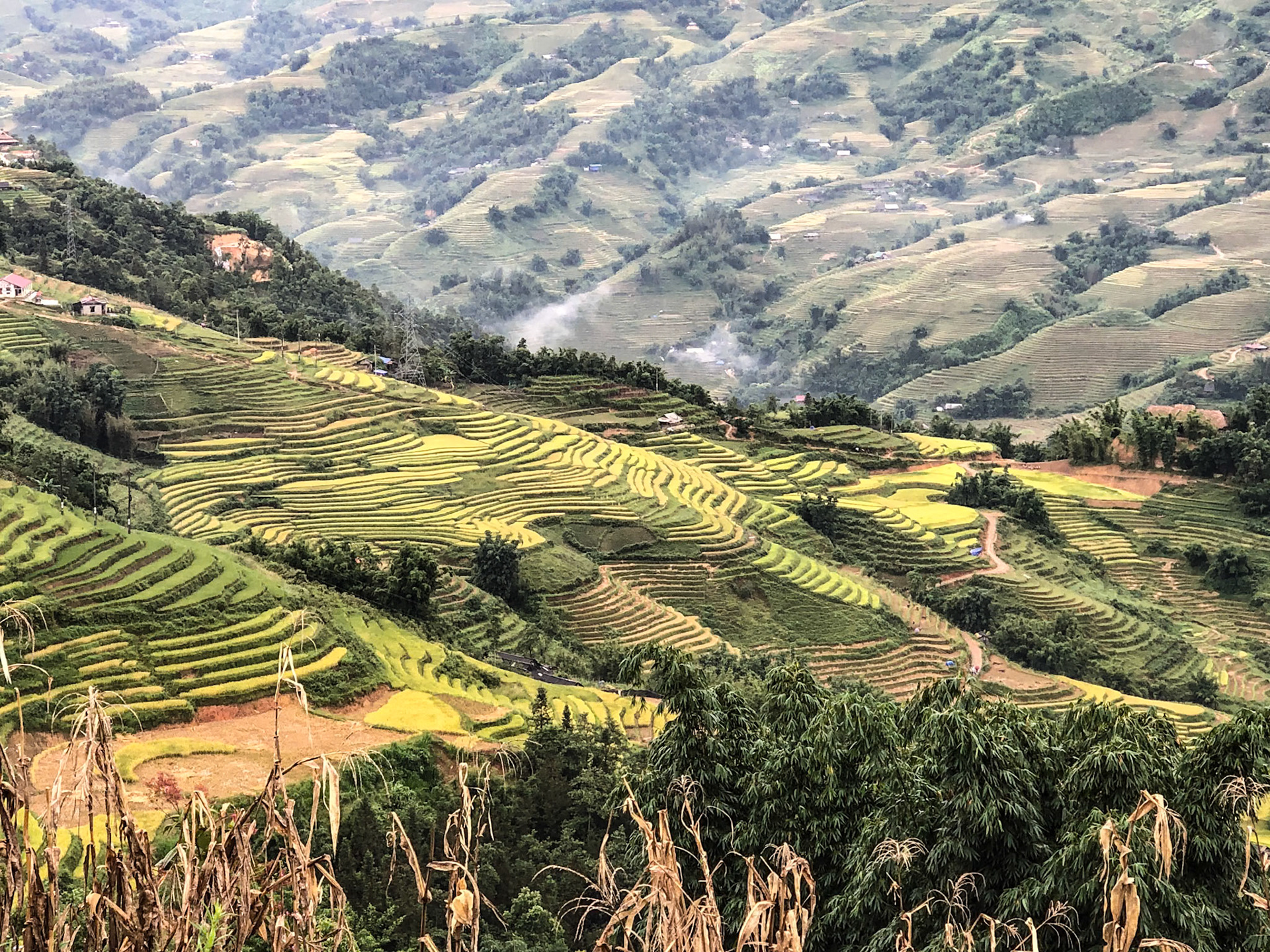 _2019-09-09__iPhone X__ iPhone X back dual camera 6mm f/2.4__f/2.4__1/120 sec__Đường tỉnh 152__Sa Pa__Vietnam___