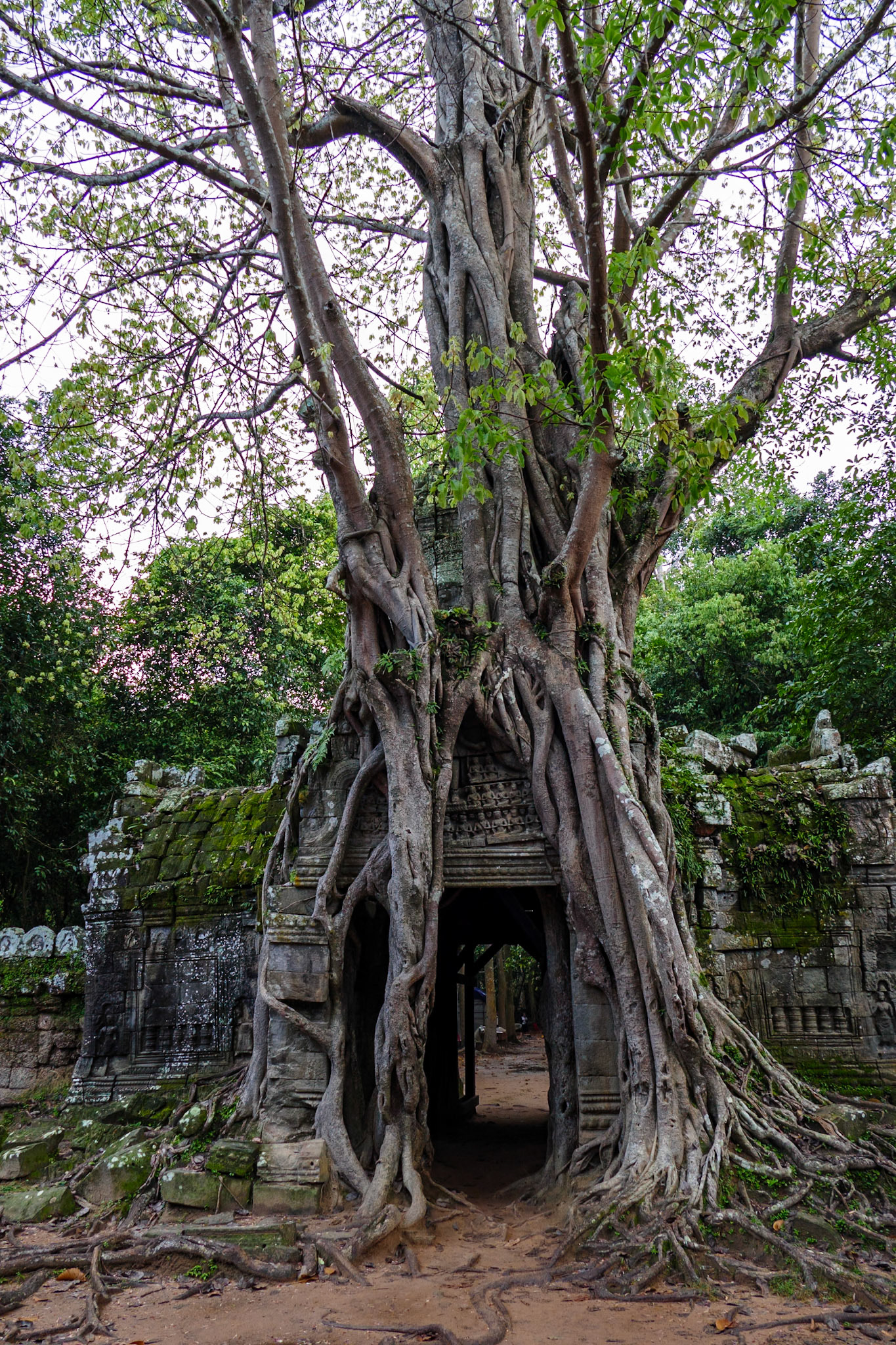 _2019-09-29__Panasonic__DMC-FZ1000__ __f/2.8__1/100 sec__Grand Circuit__Ankor Wat__Cambodia__13°27'52.506" N 103°54'51.174" E