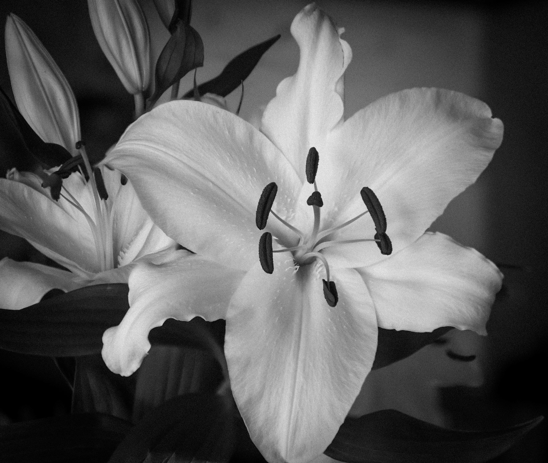 2024-06-28 10:46:39_TAMRON 28-300mm F/3.5-6.3 Di VC PZD A010_f/5_1/60 sec___Staines Road_Wraysbury_England_51°27'18.6012" N 0°33'18.0288" W