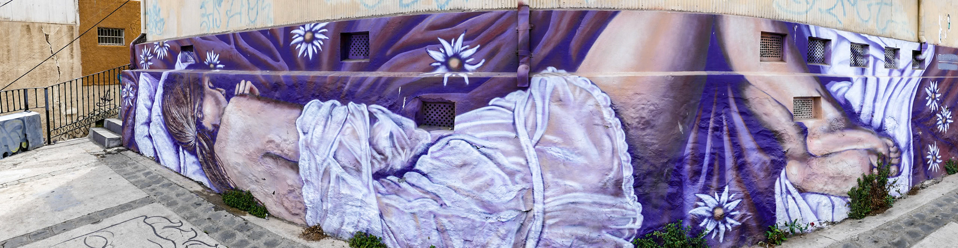 _2025-07-08__DMC-FZ1000__ __f/4__1/500 sec__Dimalow__Valparaíso__Chile___