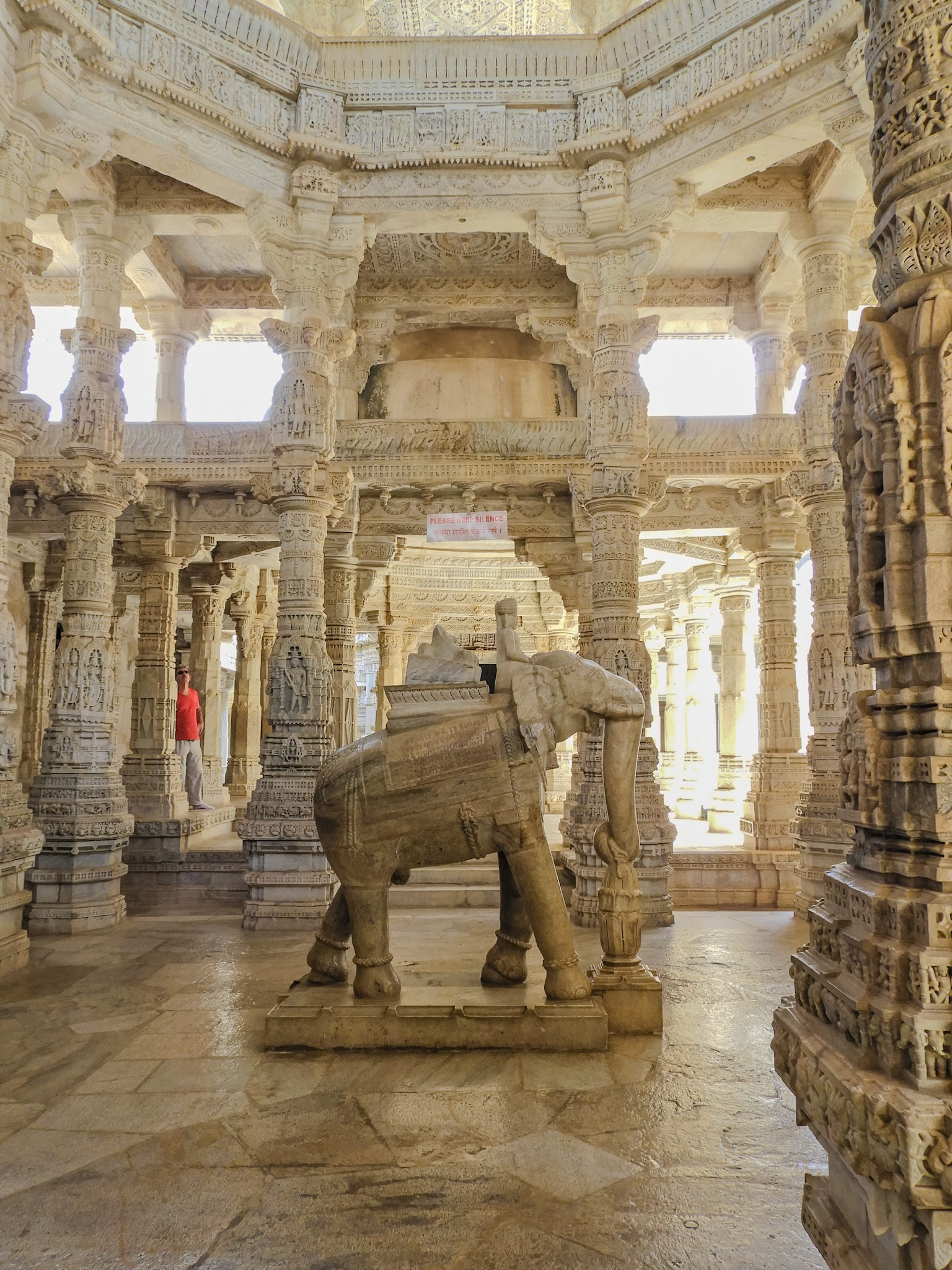 2018-02-22 12:37:35__f/5_1/20 sec__Desuri Tehsil_India_25°6'59.2668" N 73°28'19.1028" E