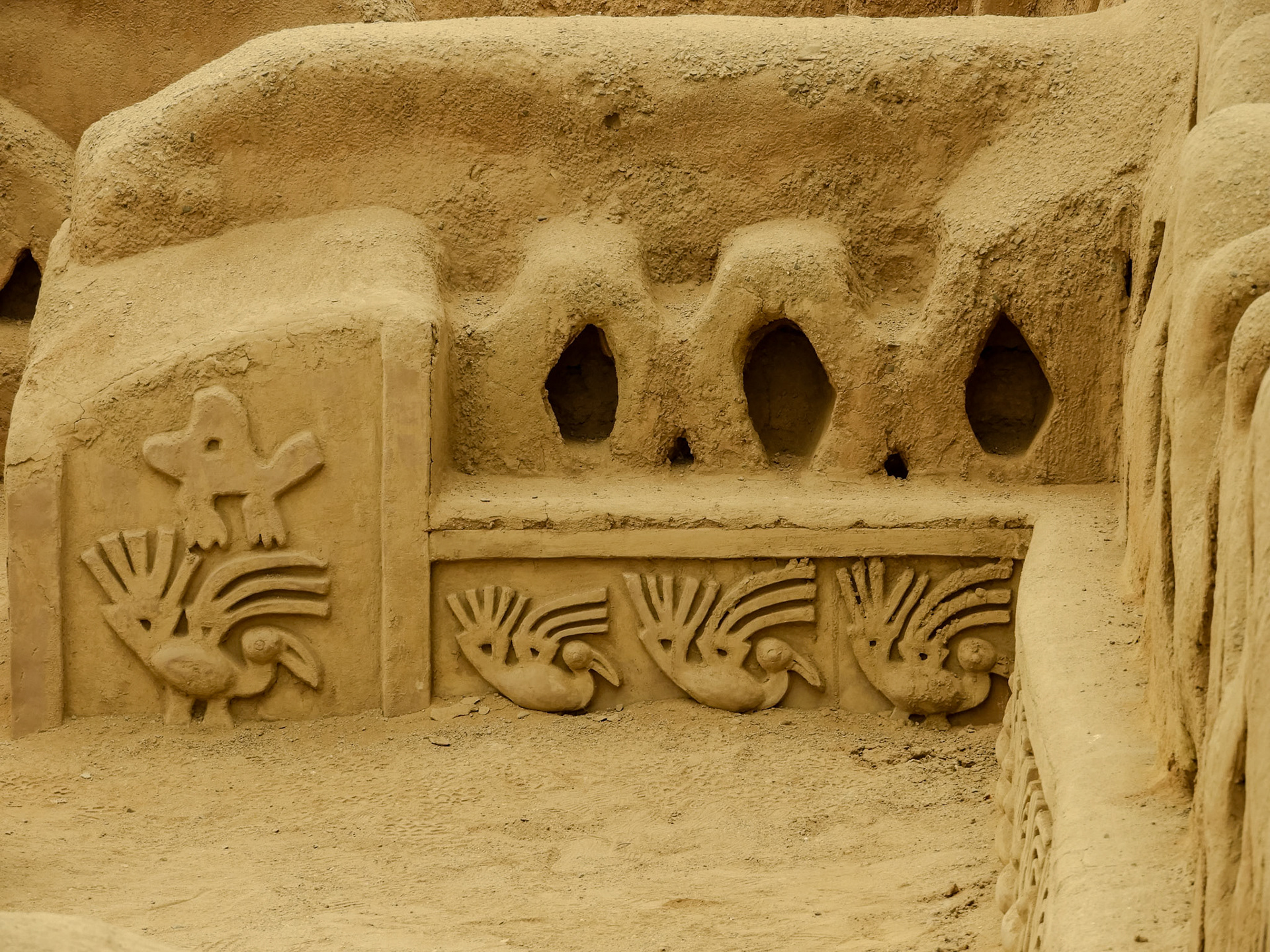 2018-10-16 12:14:48__f/5.5_1/160 sec_8°6'36.504" S 79°4'29.7732" W