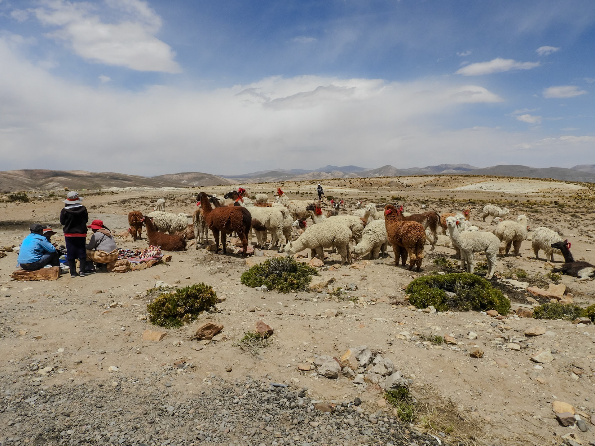 _2018-10-27__Coolpix B700__ __f/4.8__1/1600 sec__Ruta 34__Yura__Peru__15°57'42.3288" S 71°22'37.5168" W_