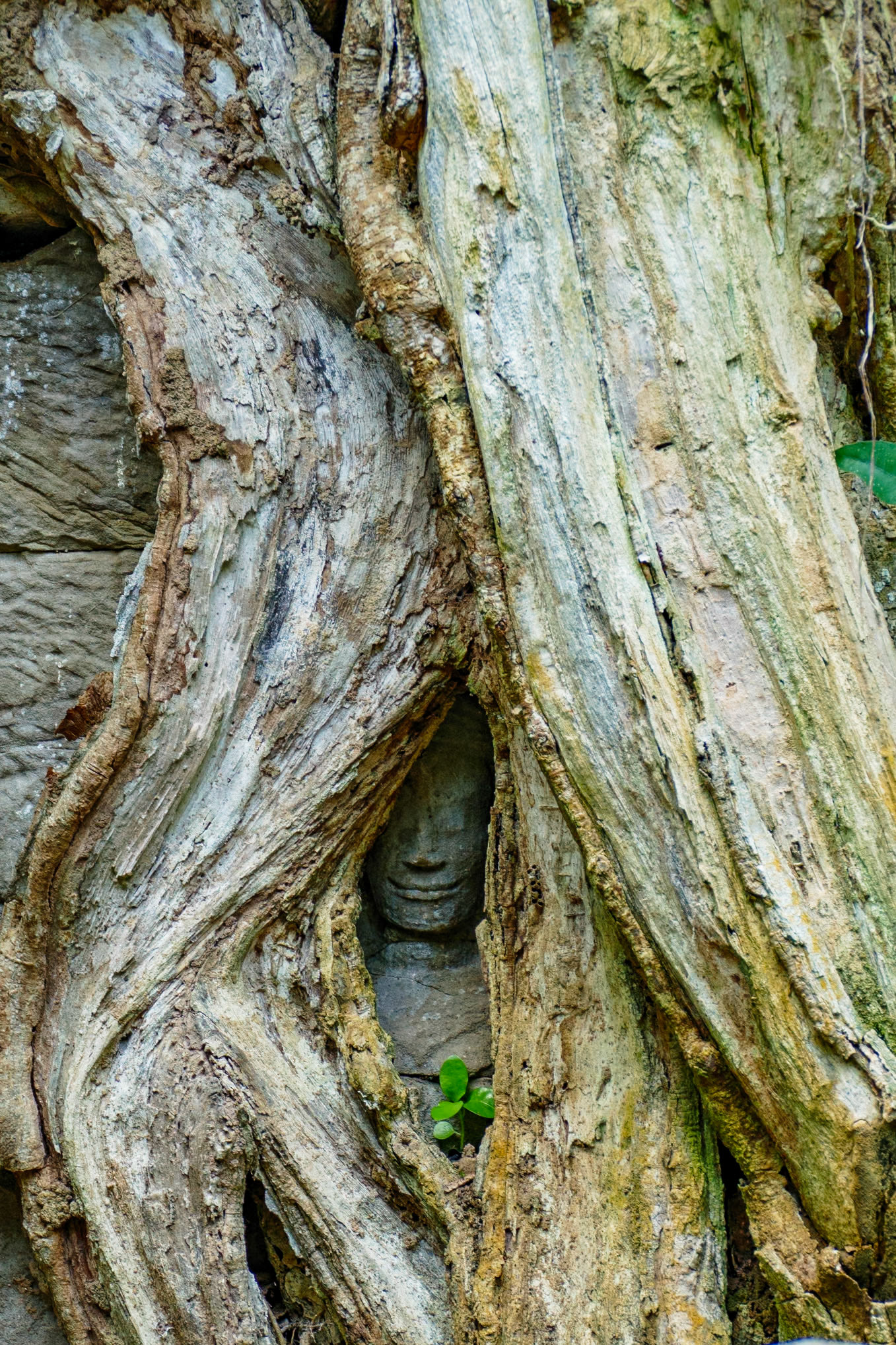 _2019-09-30__Panasonic__DMC-FZ1000__ __f/3.9__1/100 sec__Ankor Wat__Siem Reap__Cambodia__13°26'6.2016" N 103°53'23.3952" E