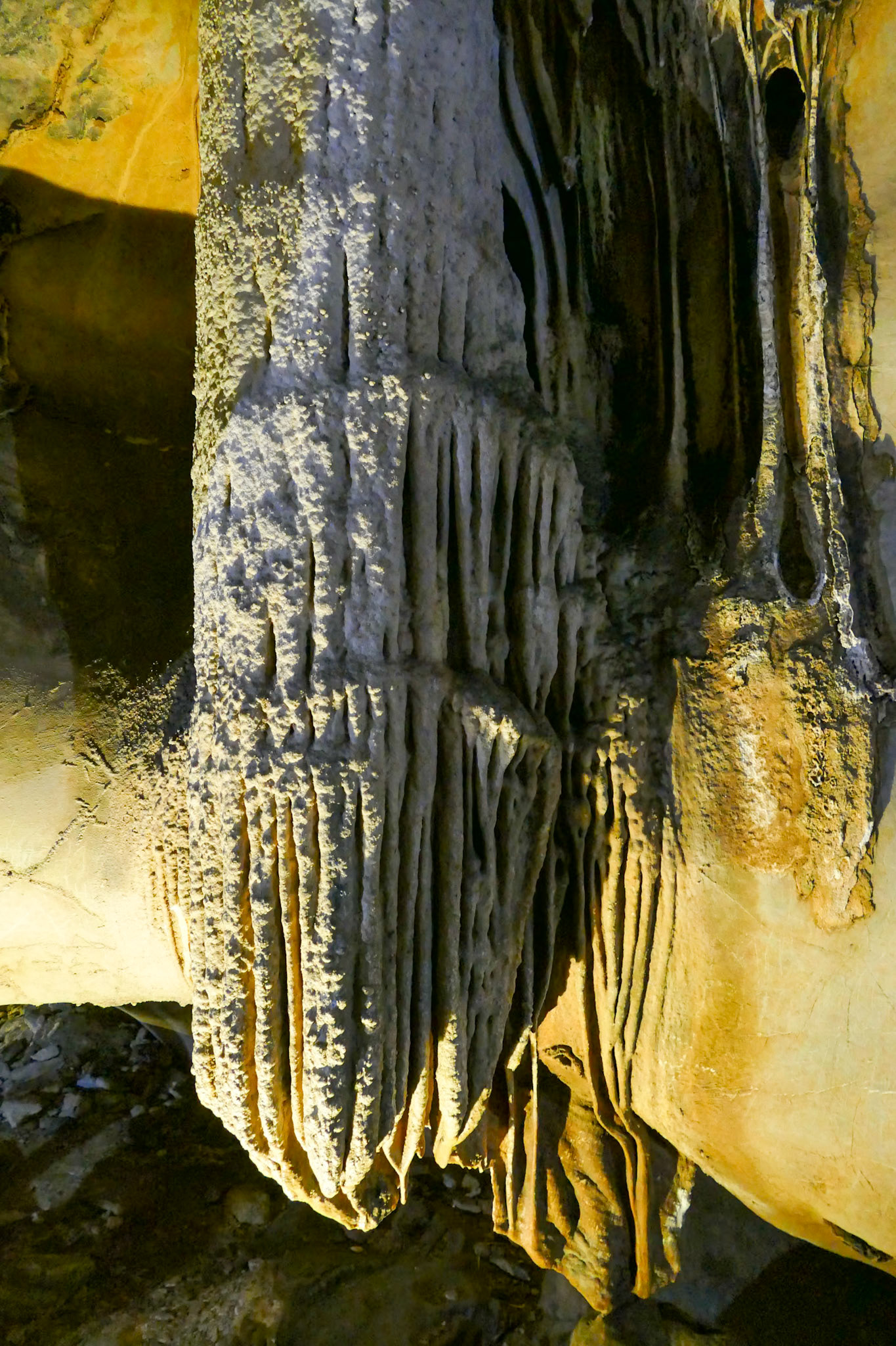 2019-09-05 15:12:40__f/2.8_1/10 sec_