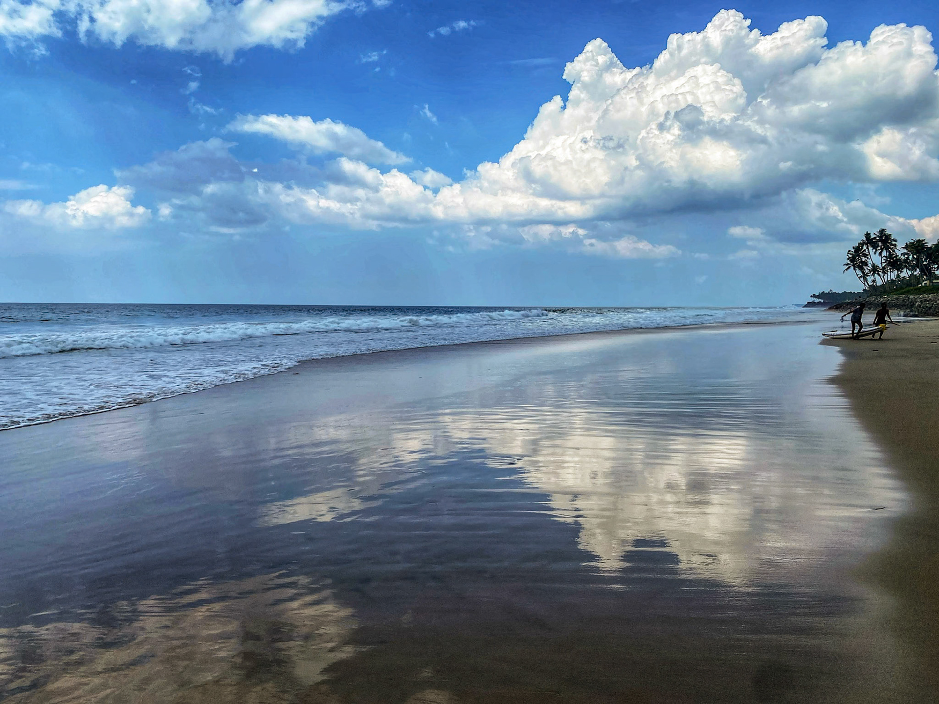 _2022-11-06__iPhone 11 Pro__ iPhone 11 Pro back triple camera 4.25mm f/1.8__f/1.8__1/4800 sec_________