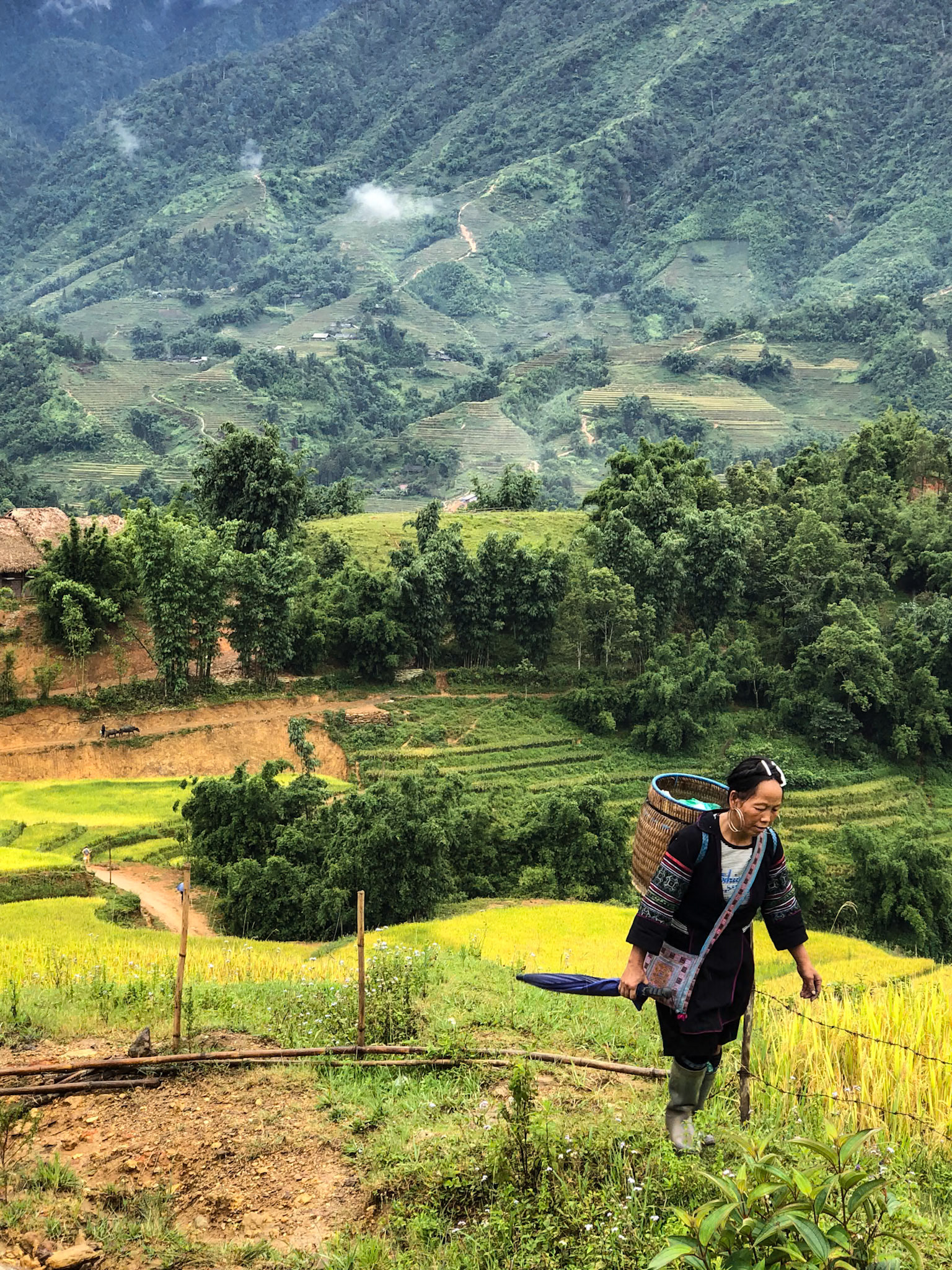 _2019-09-09__iPhone X__ iPhone X back dual camera 6mm f/2.4__f/2.4__1/240 sec__Sa Pa__Sa Pa__Vietnam___