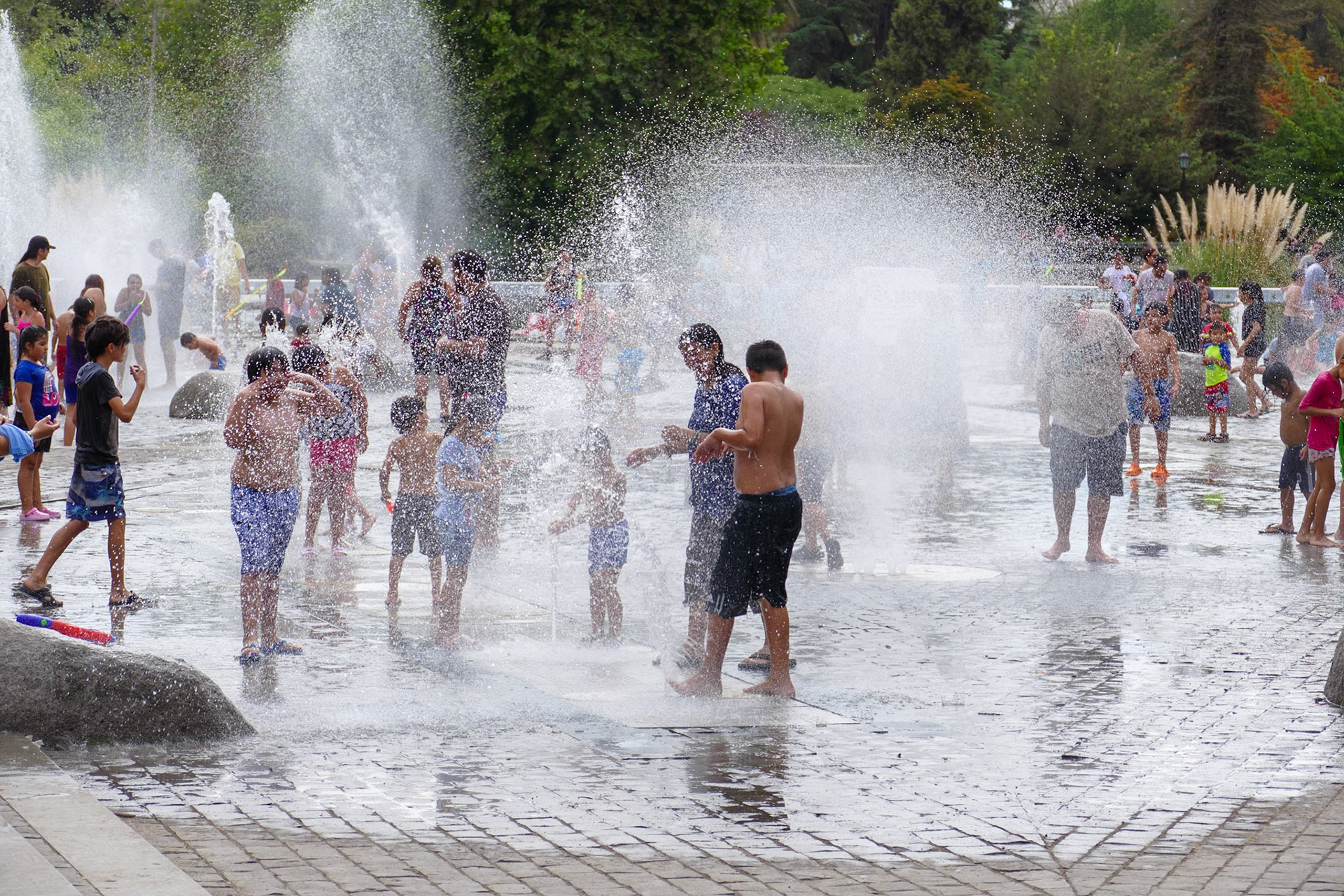 _2019-12-29__Panasonic__DMC-FZ1000__ __f/3.9__1/800 sec__Parque Quinta Normal__Provincia de Santiago__Chile__33°26'26.1924" S 70°40'52.1472" W