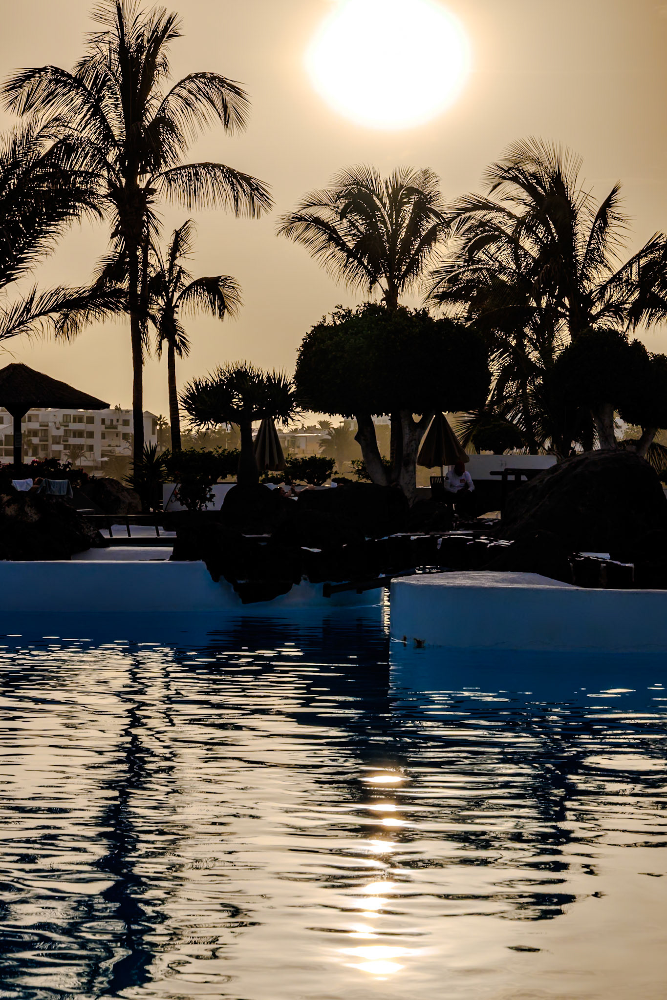 _2024-11-28__Canon__Canon EOS R3__ RF24-240mm F4-6.3 IS USM__f/25__1/100 sec________