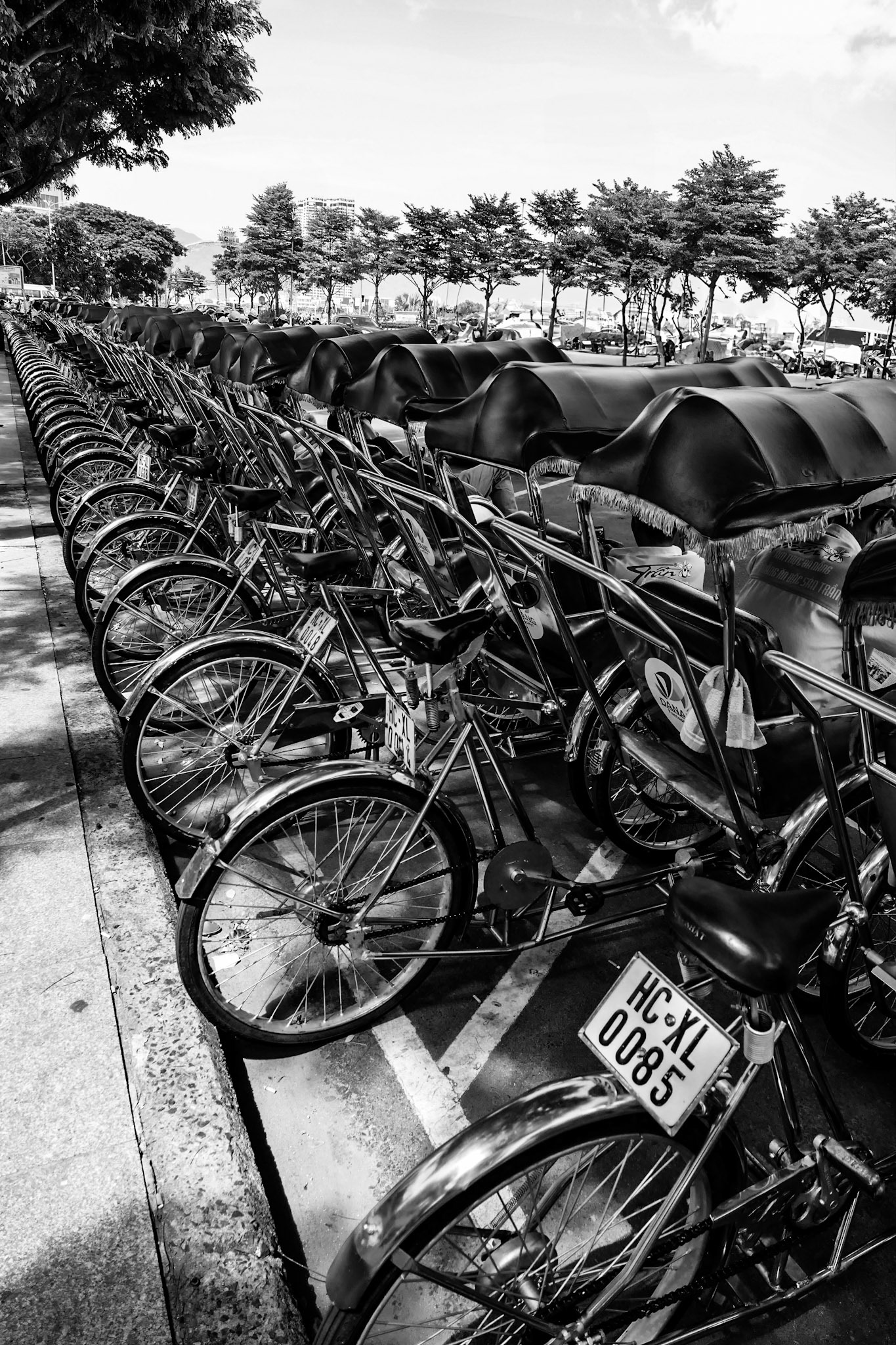 _2019-09-17__DMC-FZ1000__ __f/2.8__1/500 sec_________