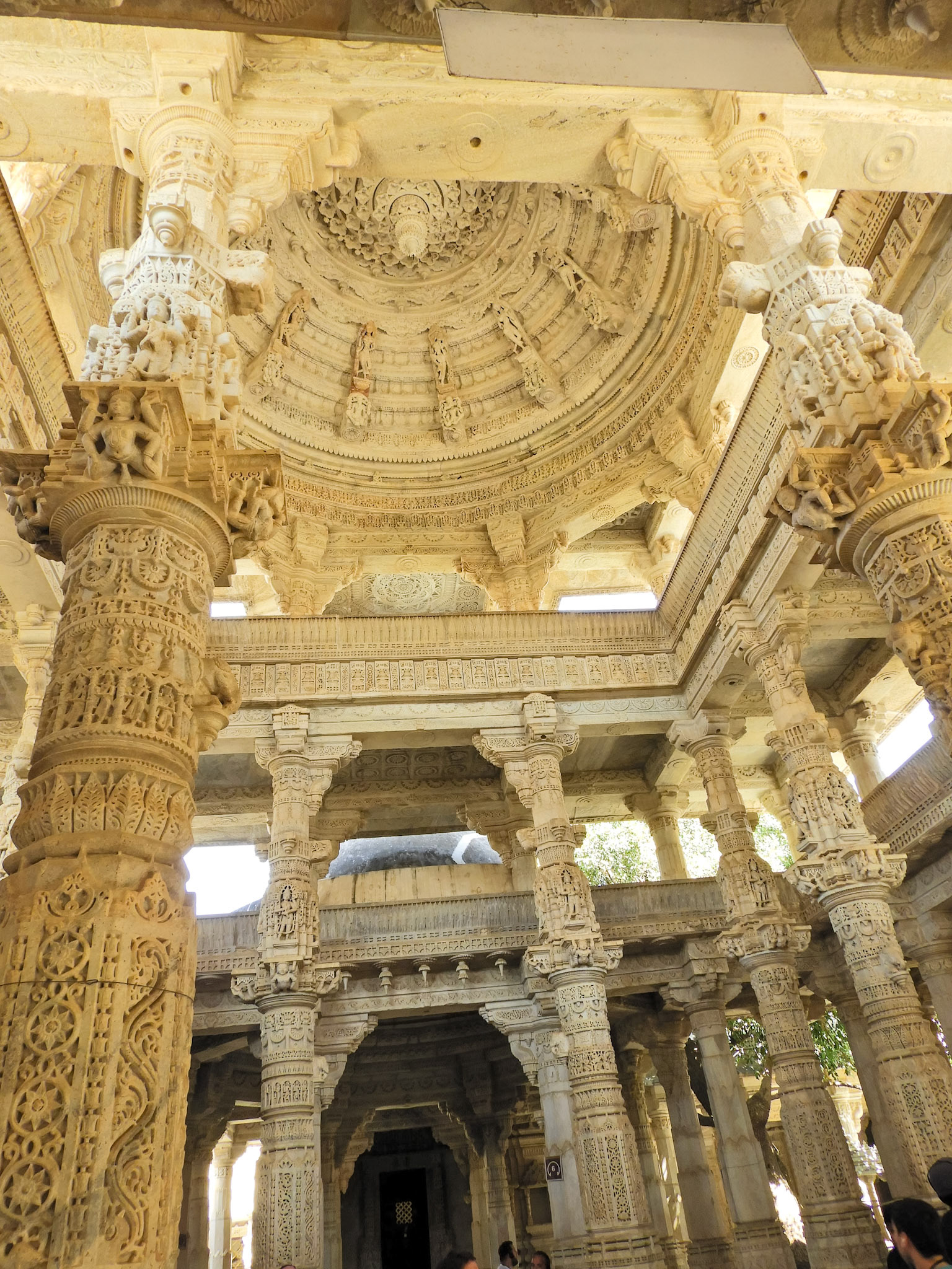 _2018-02-22__Nikon__Coolpix B700__ __f/4.8__1/25 sec____Desuri Tehsil__India__25°6'59.2668" N 73°28'19.1028" E