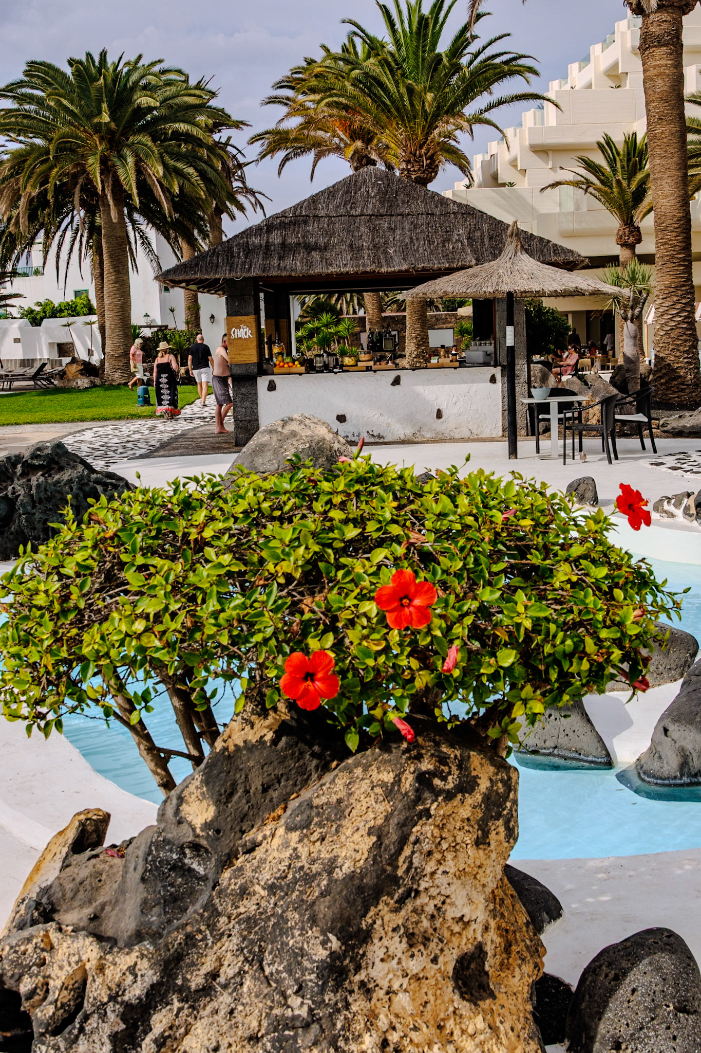 2024-11-28__Canon EOS R3__ RF24-240mm F4-6.3 IS USM__f/14__1/80 sec__Avenida Islas Canarias__Teguise__Spain__29°0'2.592" N 13°29'2.9292" W_