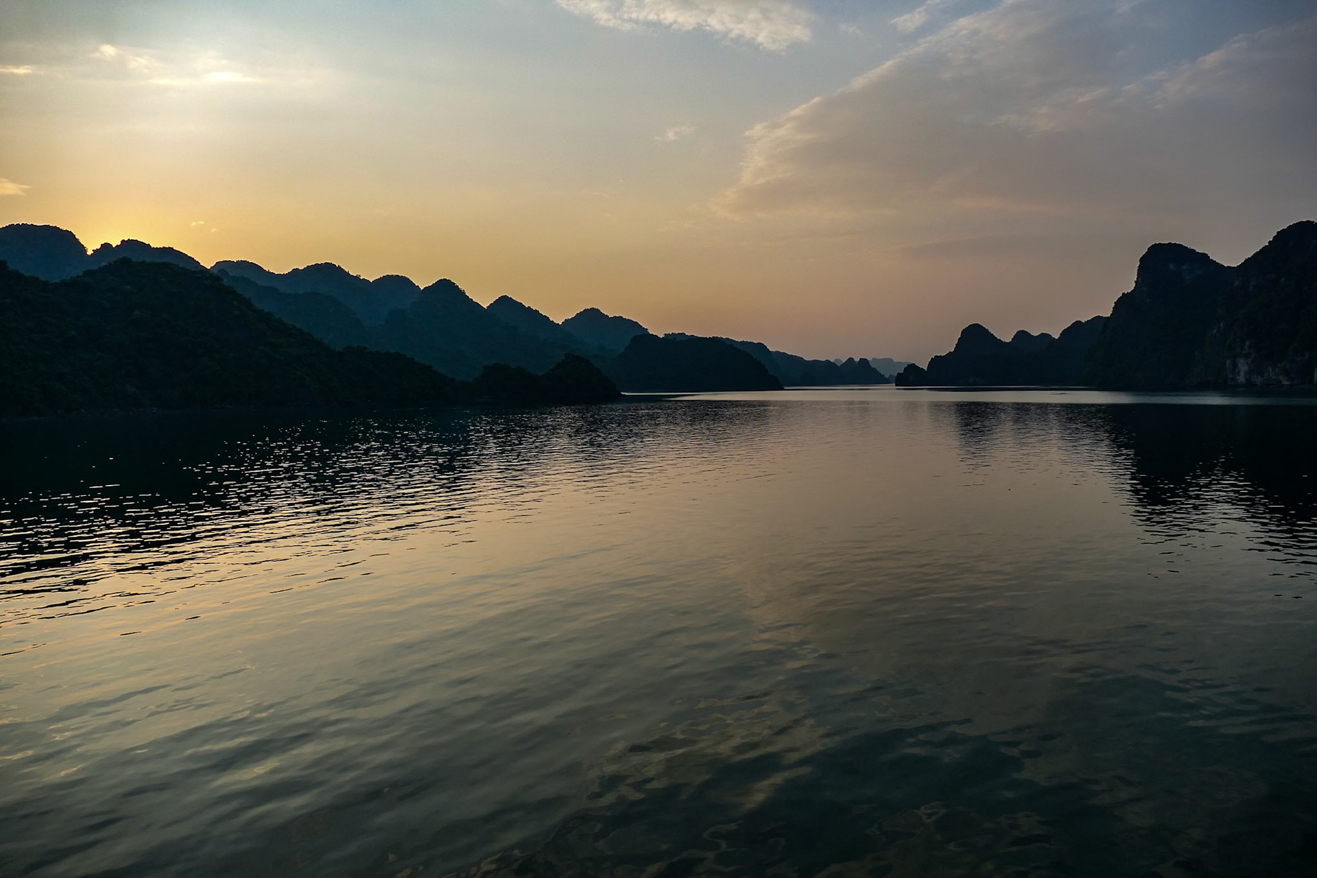 _2019-09-05__DMC-FZ1000__ __f/2.8__1/1250 sec_________