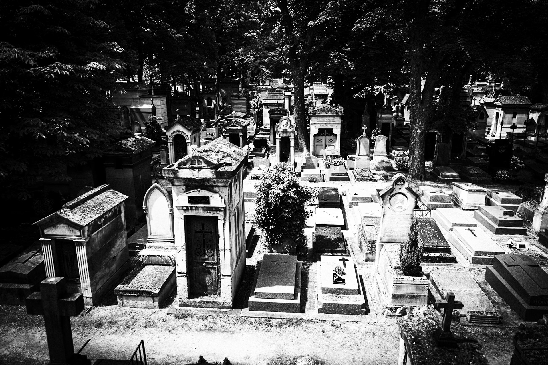 _2025-06-10__Canon__Canon EOS R3__ RF28-70mm F2.8 IS STM__f/2.8__1/640 sec__Rue du Cardinal Guibert__Paris__France__48°53'9.8988" N 2°19'52.4028" E