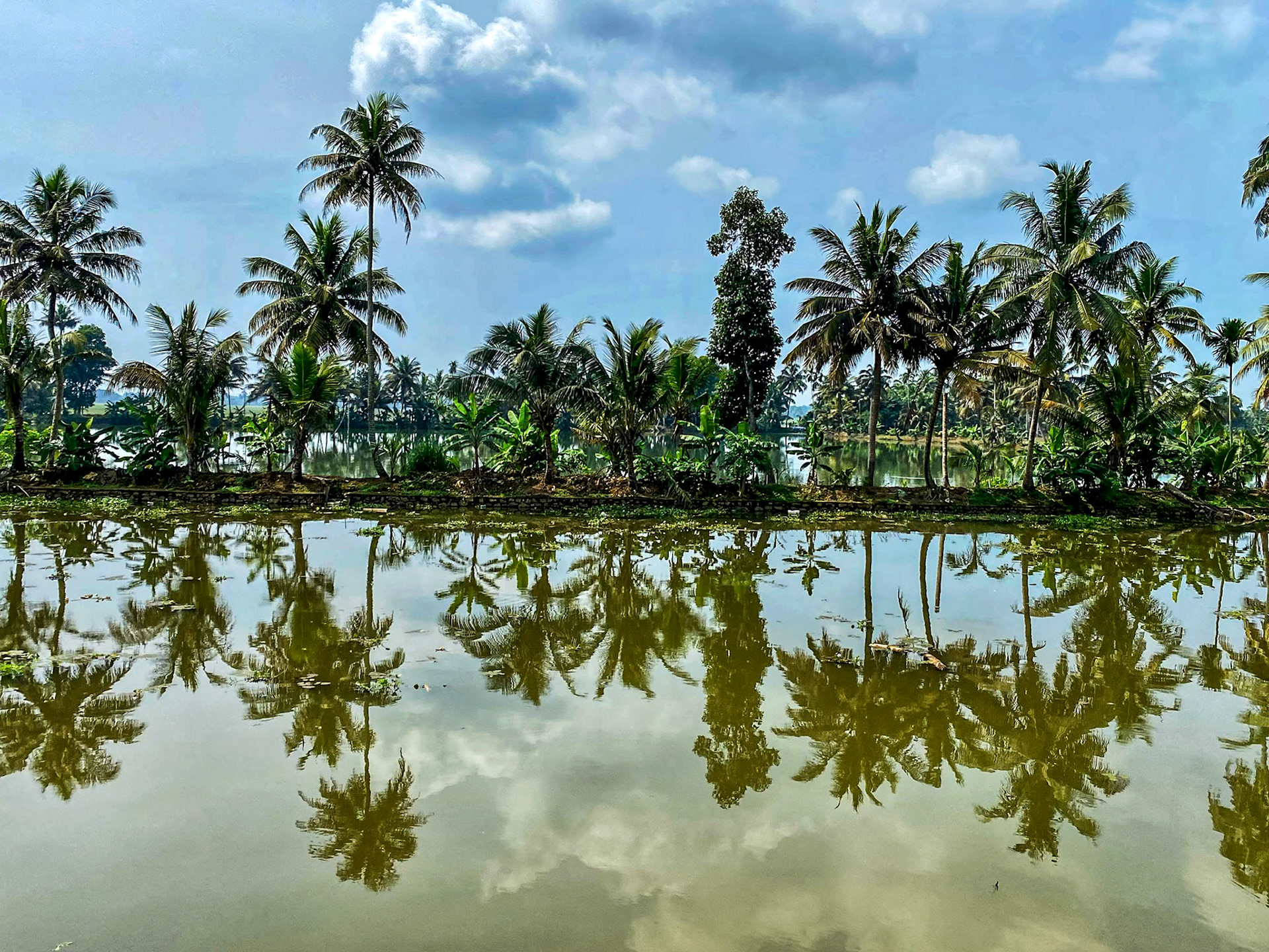 _2022-11-03__iPhone 11 Pro__ iPhone 11 Pro back triple camera 4.25mm f/1.8__f/1.8__1/5000 sec____Alleppey &amp; Kerala Backwaters__India___