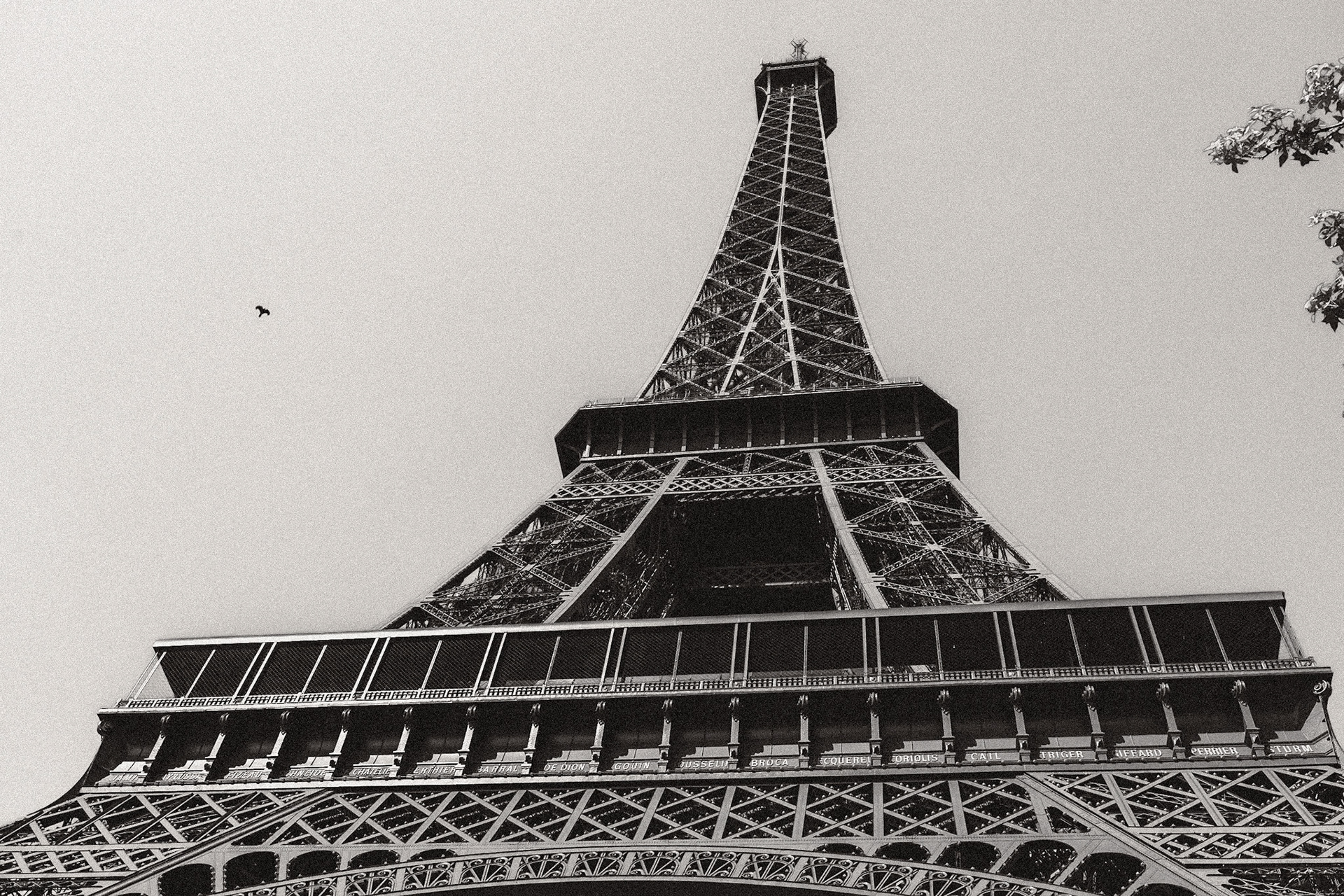 _2025-06-19__Canon__Canon EOS R3__ RF15-35mm F2.8 L IS USM__f/6.3__1/320 sec__Avenue de New York__Paris__France__48°51'28.494" N 2°17'38.2632" E