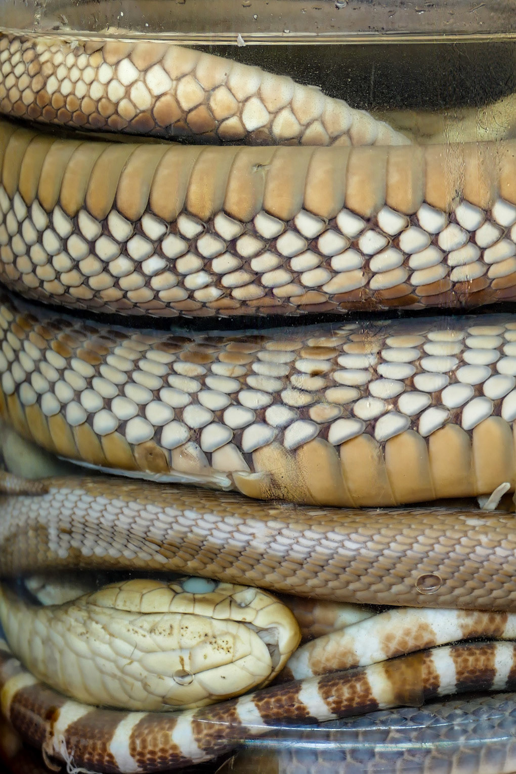 2019-09-06 10:48:53__f/3.7_1/80 sec_