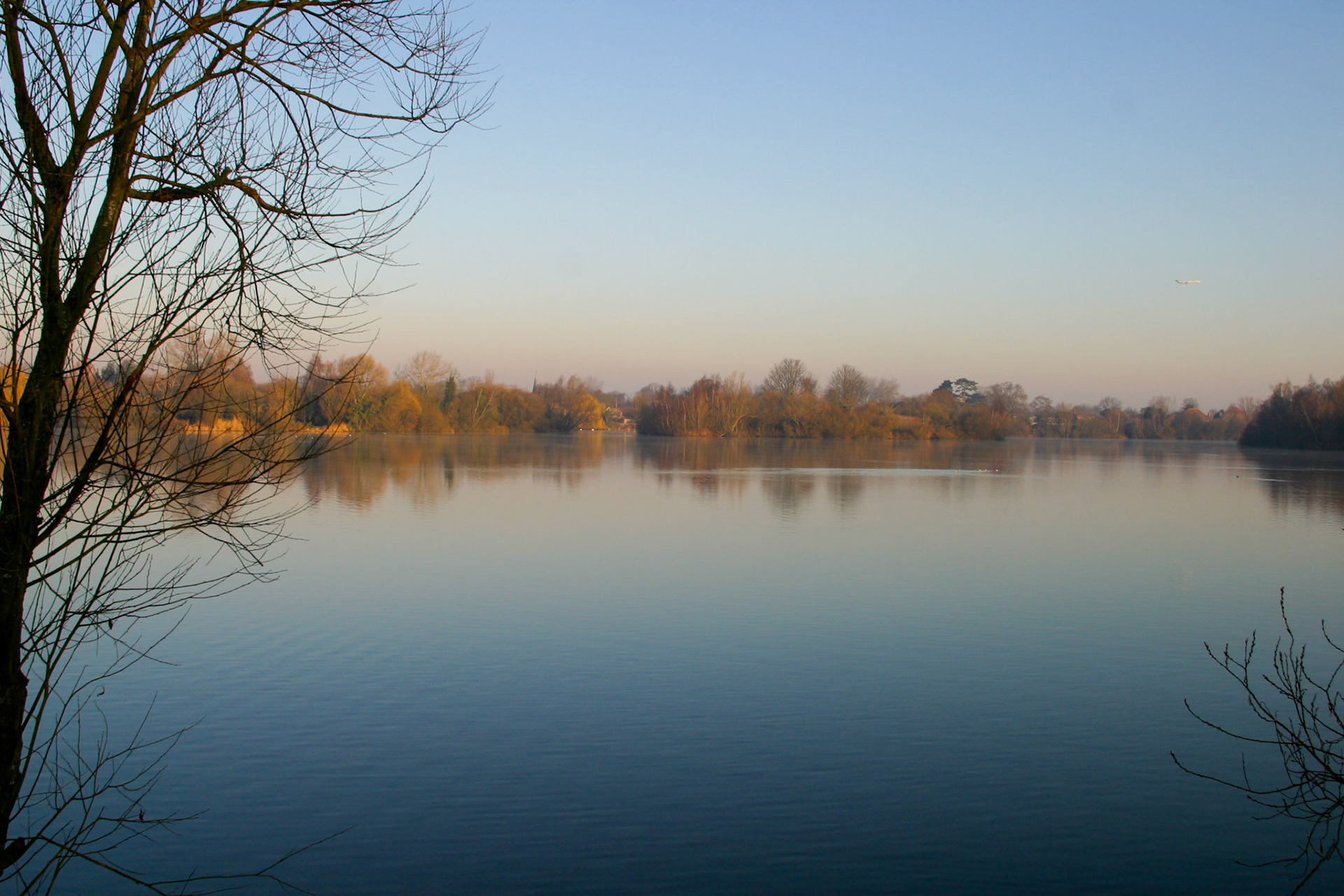 No Data Available for this image