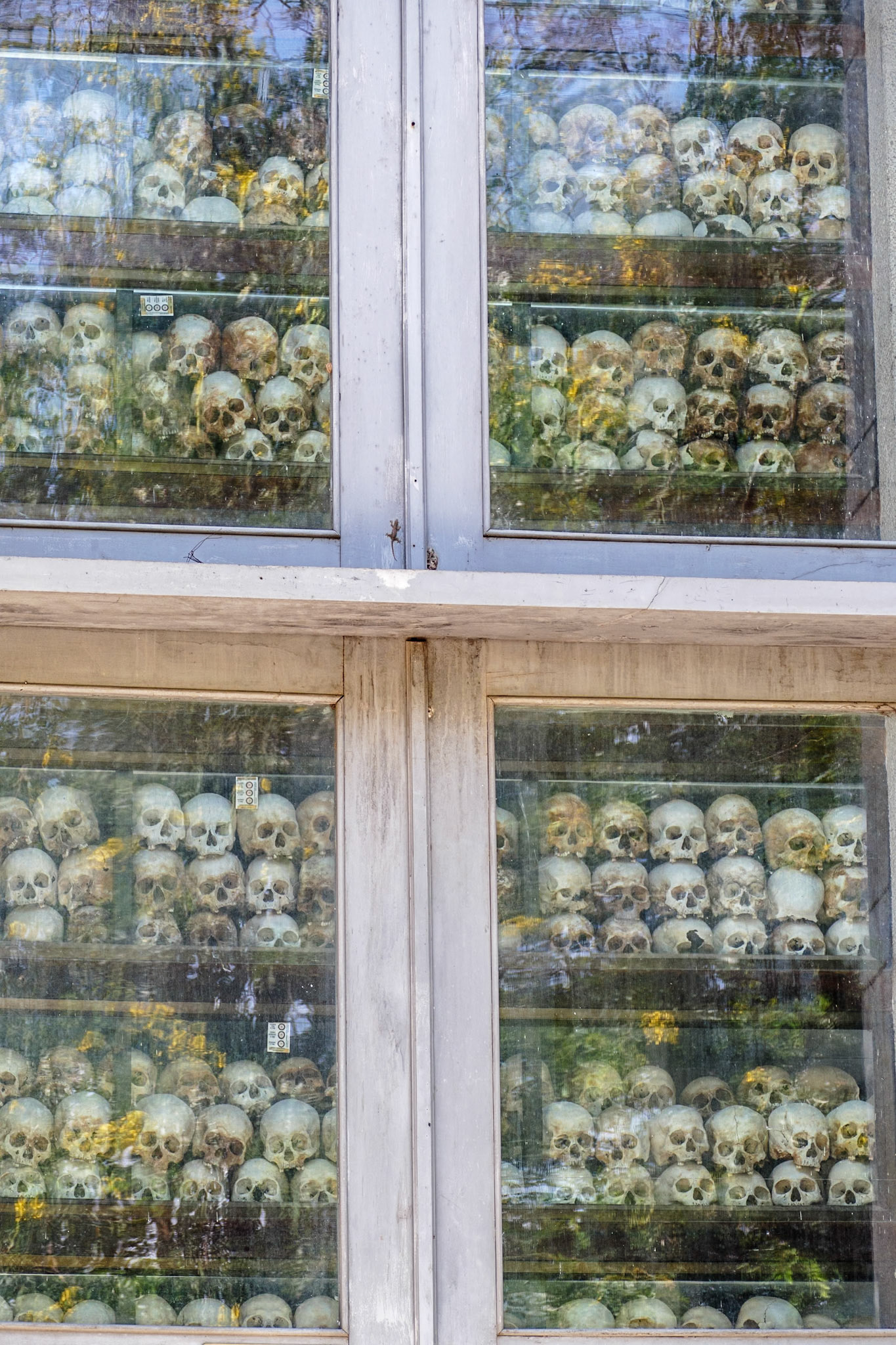 2019-09-24 09:36:46__f/3.9_1/125 sec_