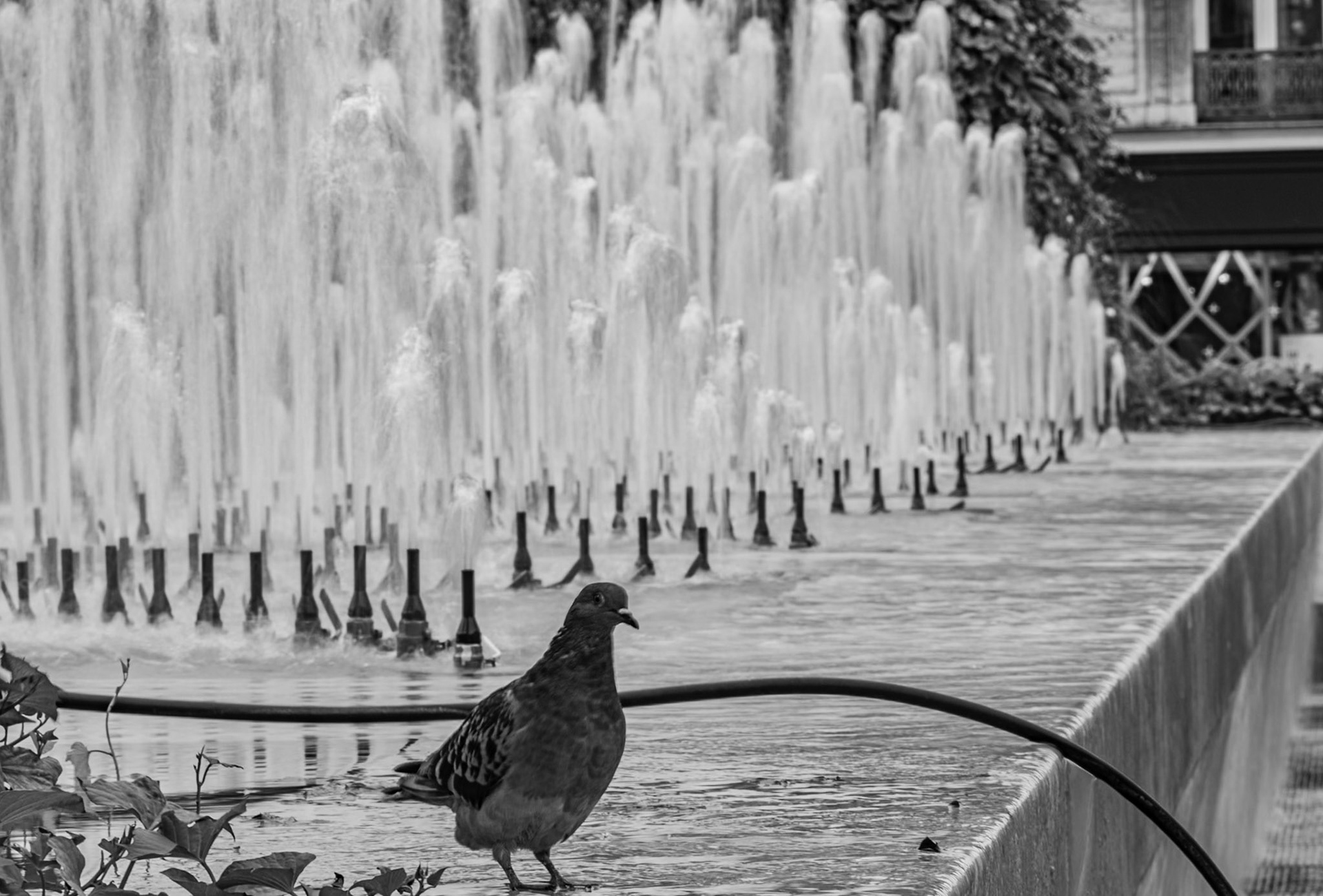 _2024-09-29__Canon__Canon EOS R3__ RF24-240mm F4-6.3 IS USM__f/36__1/8 sec__Rue Madame de Sévigné__Paris__France__48°51'26.0892" N 2°21'7.4808" E